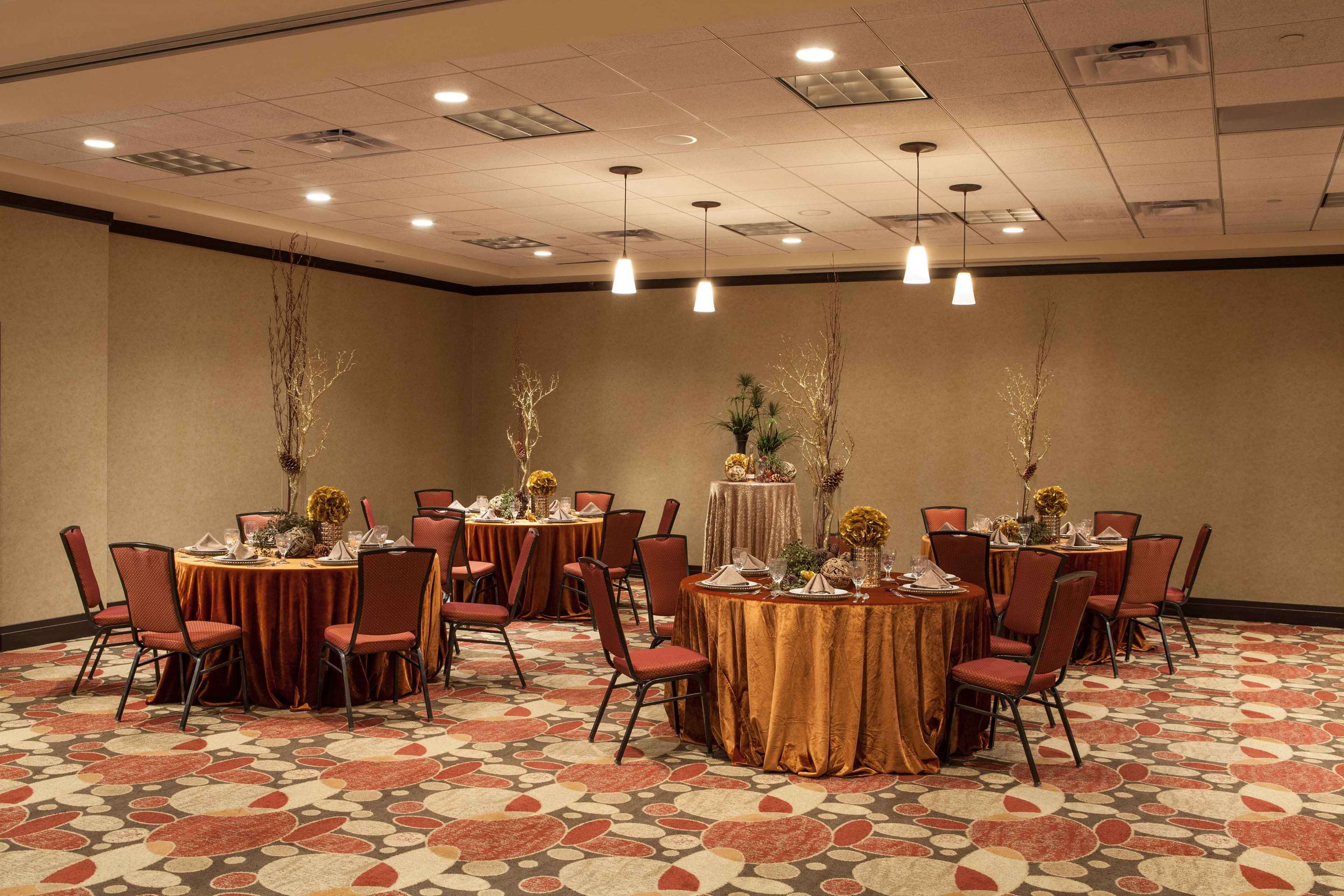 Meeting Room | Hilton Garden Inn El Paso / University