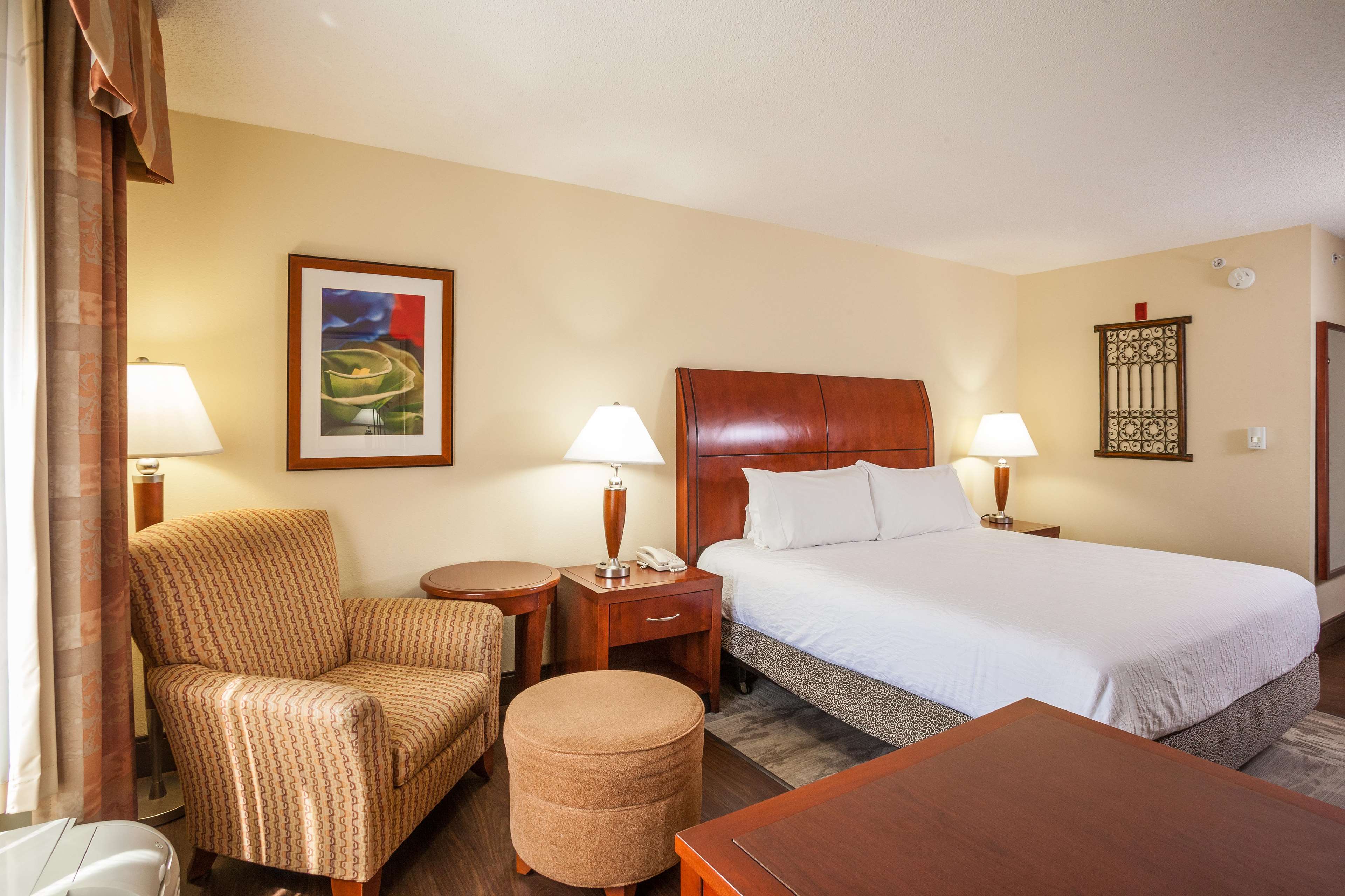 Hilton Garden Inn El Paso / University Room Type - 1 KING BED