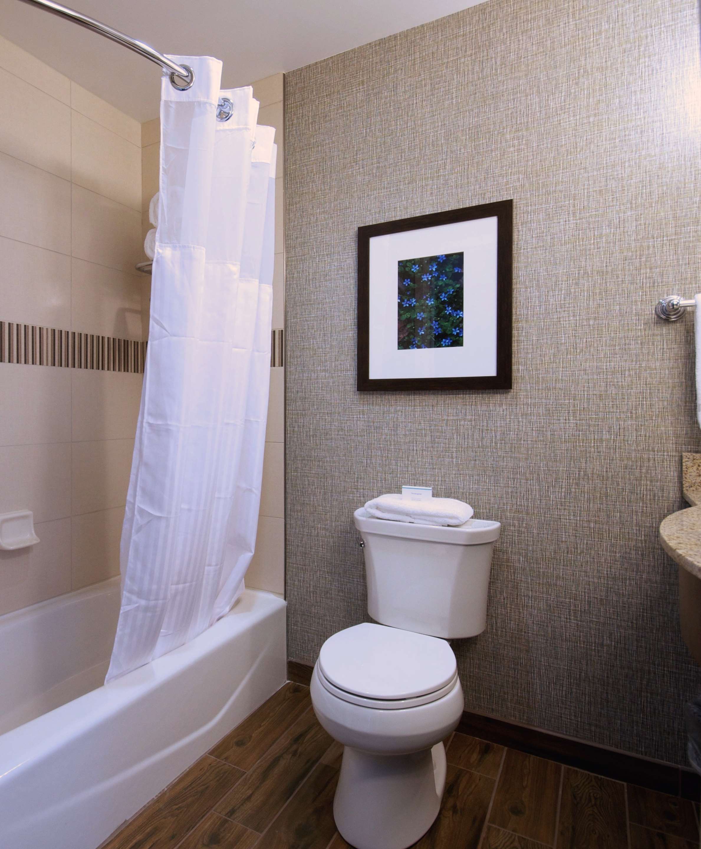 Guest room bath
