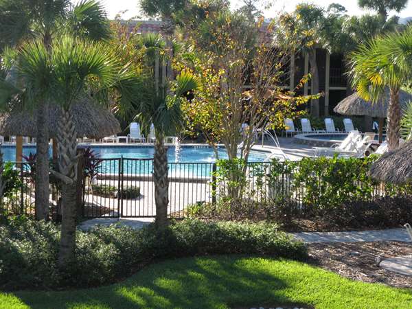 Pool - DoubleTree by Hilton at SeaWorld Orlando - I-4, Exit 72