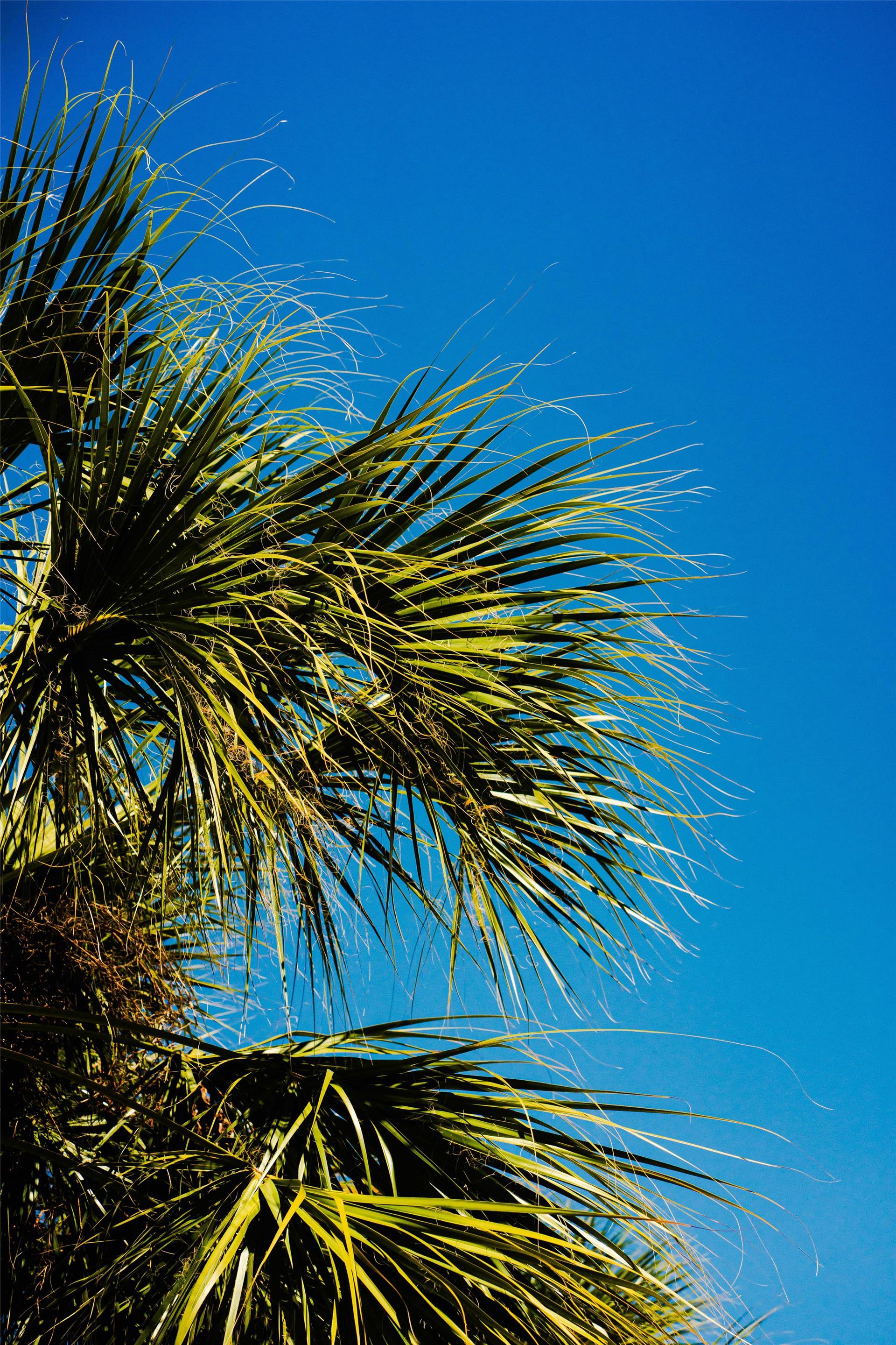 Undefined/Not Set | DoubleTree by Hilton Hotel Orlando at SeaWorld