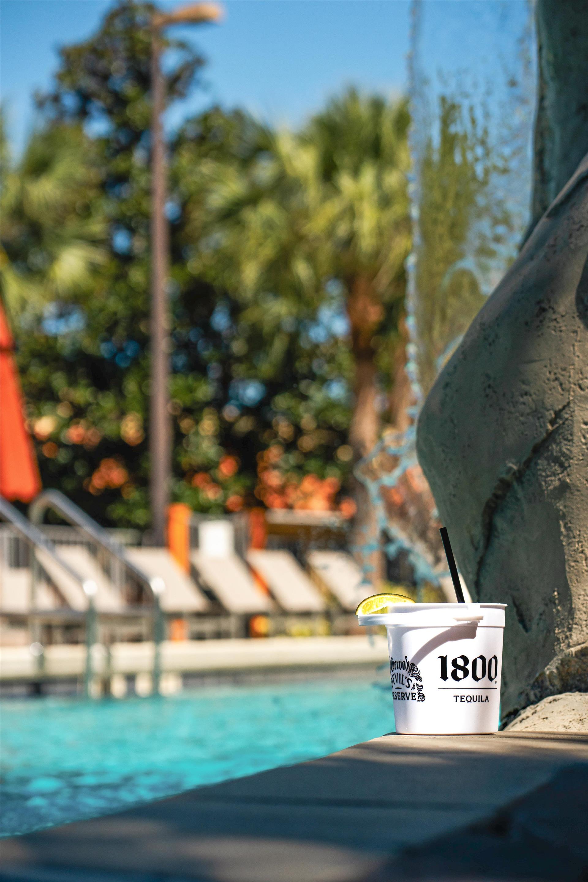 Pool | DoubleTree by Hilton Hotel Orlando at SeaWorld