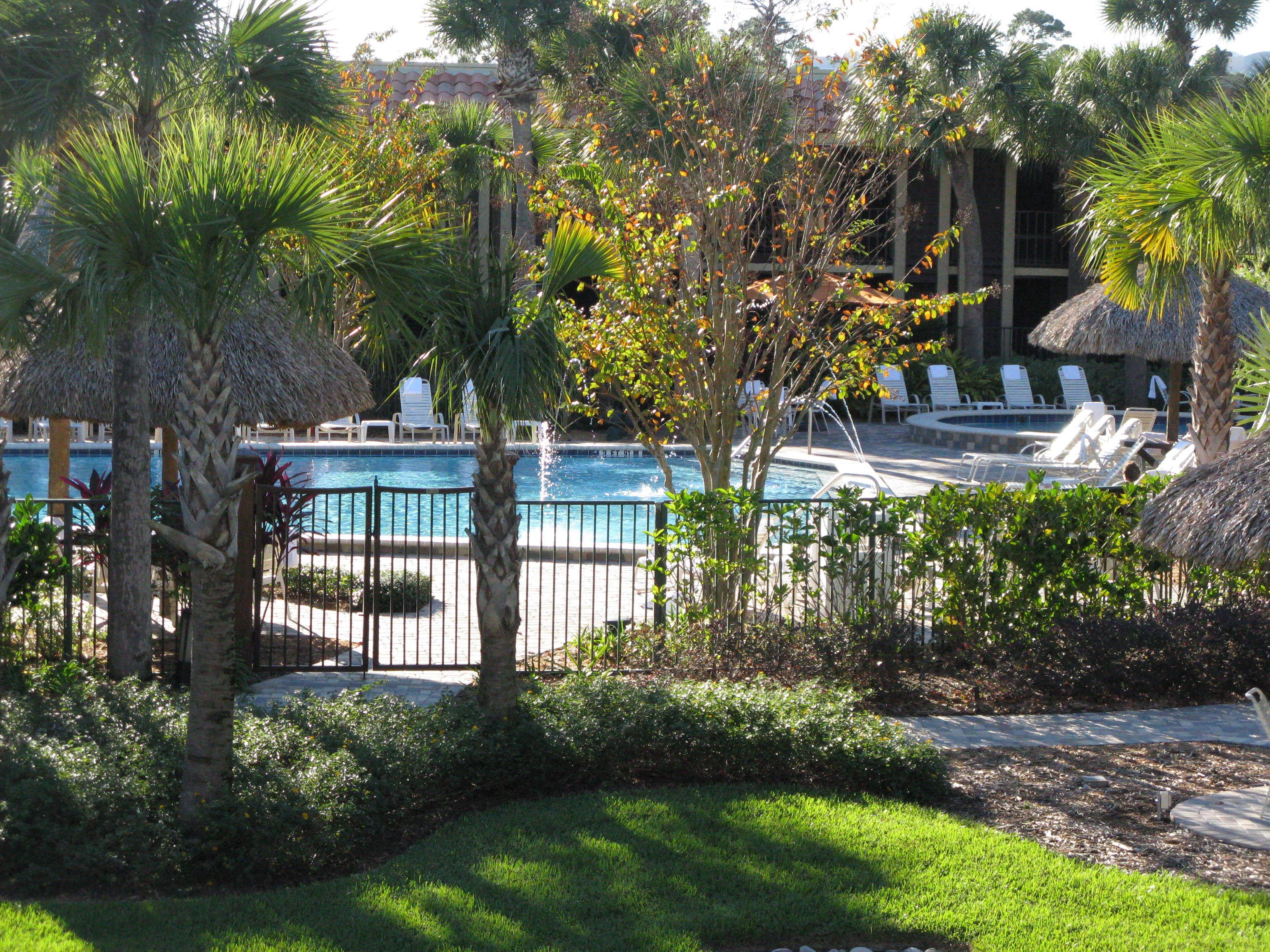 Pool | DoubleTree by Hilton Hotel Orlando at SeaWorld
