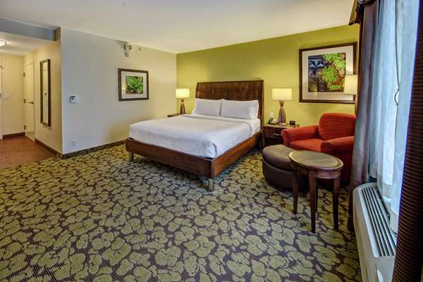  - Hilton Garden Inn Cordova - I-40, Exit 16