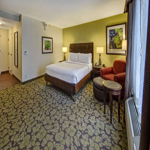  - Hilton Garden Inn Cordova - I-40, Exit 16