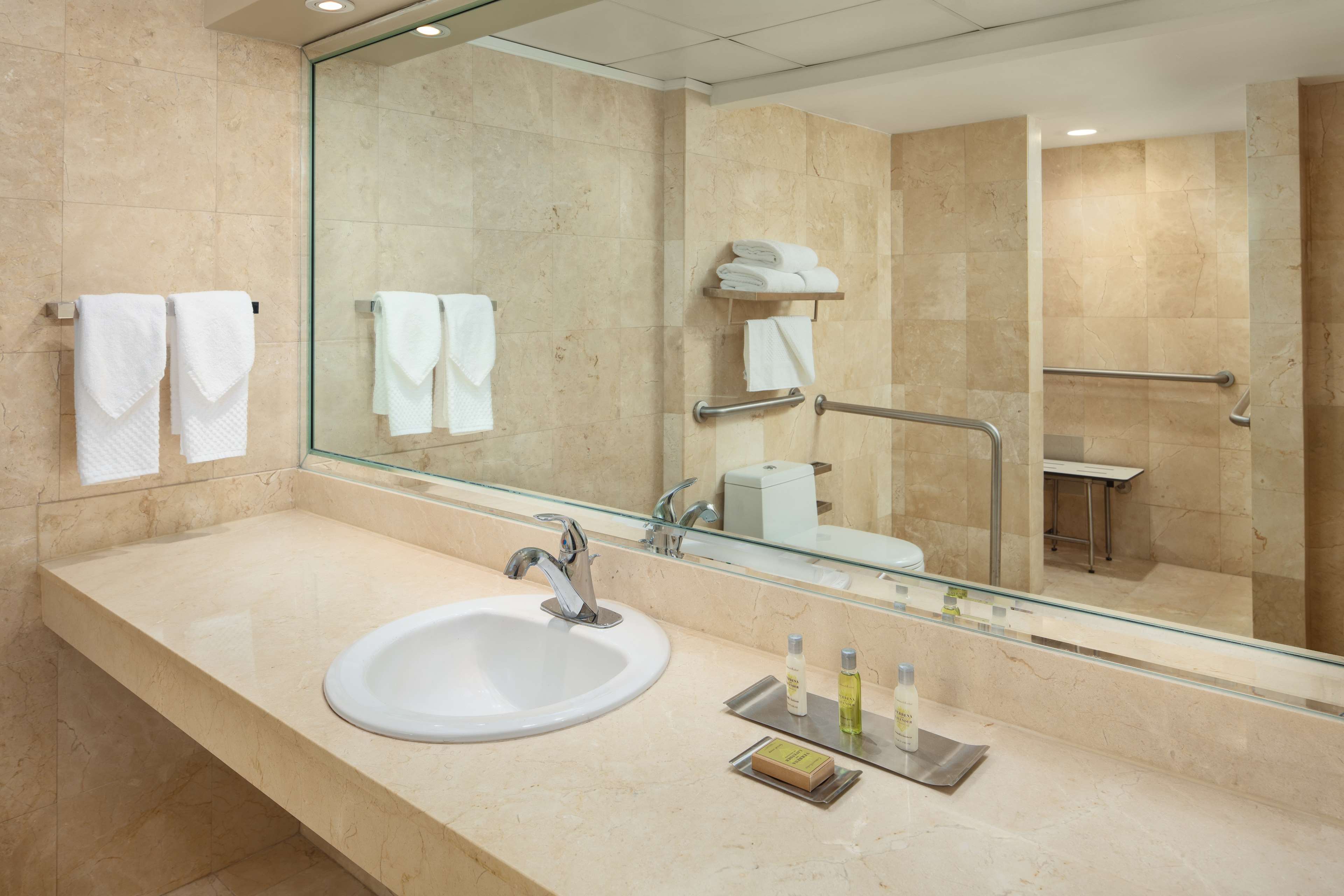 Doubletree Grand Hotel Biscayne Bay Room Type - 1 KING BAYVIEW ACC RI SHWR