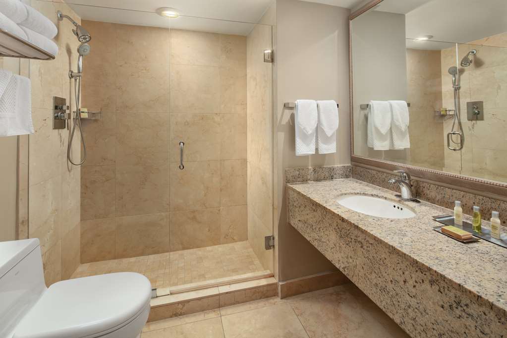 Doubletree Grand Hotel Biscayne Bay Room Type - 1 KING PARKVIEW BALCONY