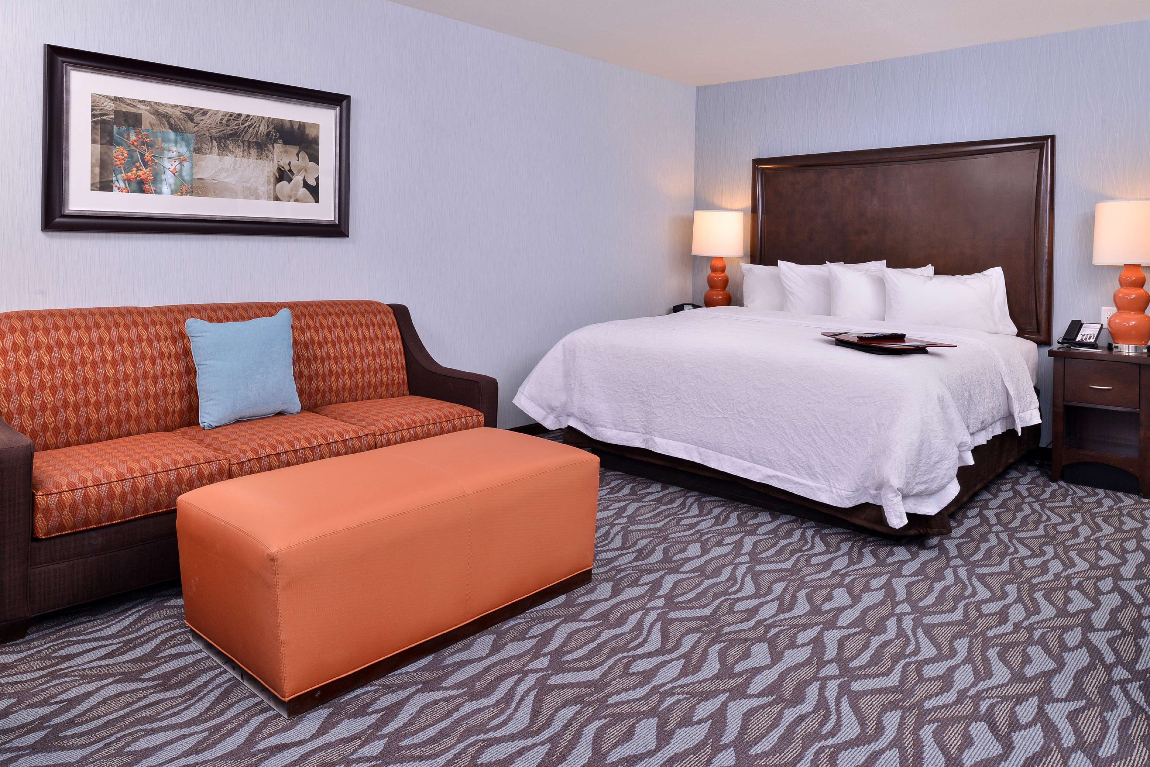 Hampton Inn by Hilton Potsdam, NY Room Type - 1 KING SFBD MIC FRG NS