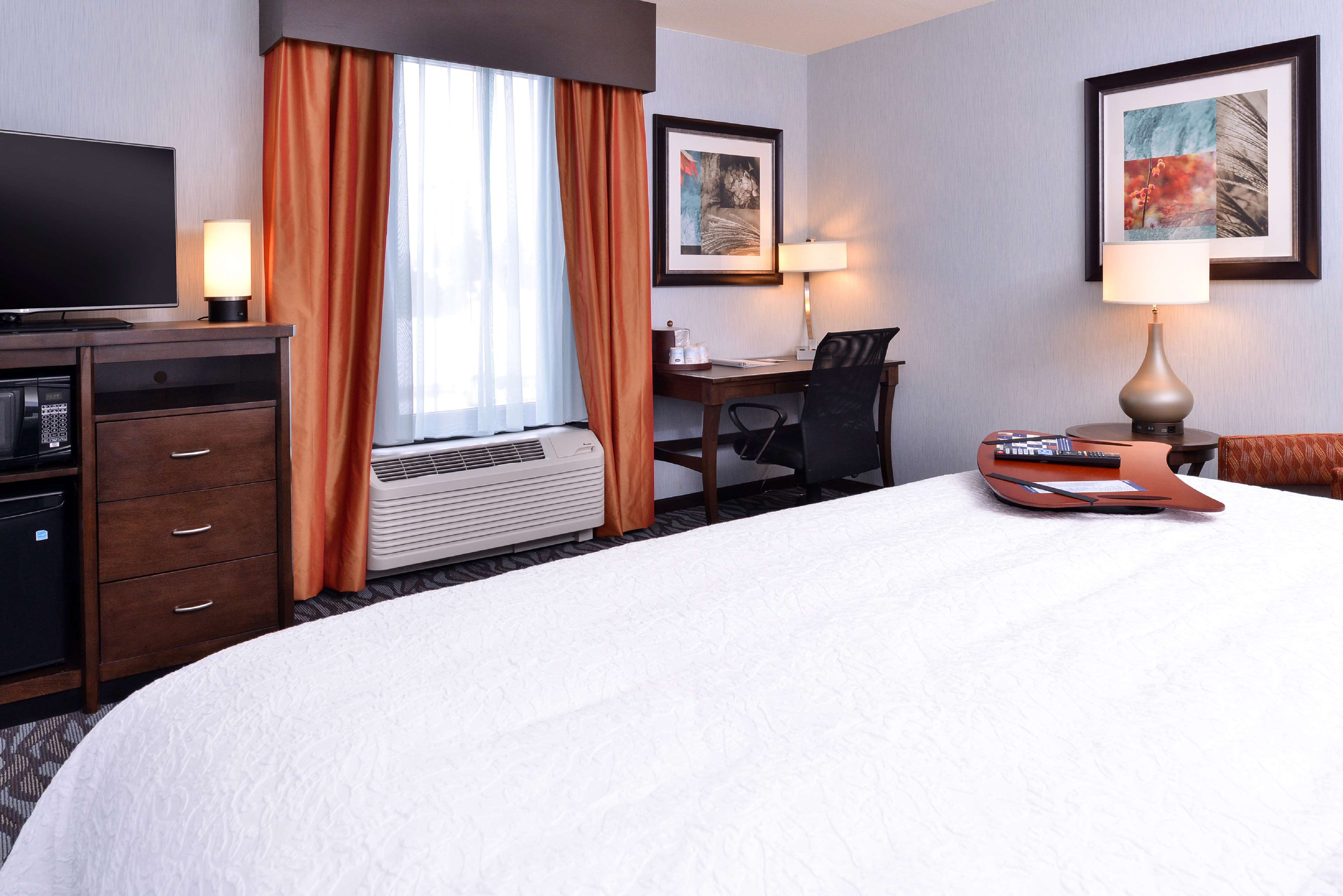 Hampton Inn by Hilton Potsdam, NY Room Type - 1 KNG ACCESSIBLE TUB NS