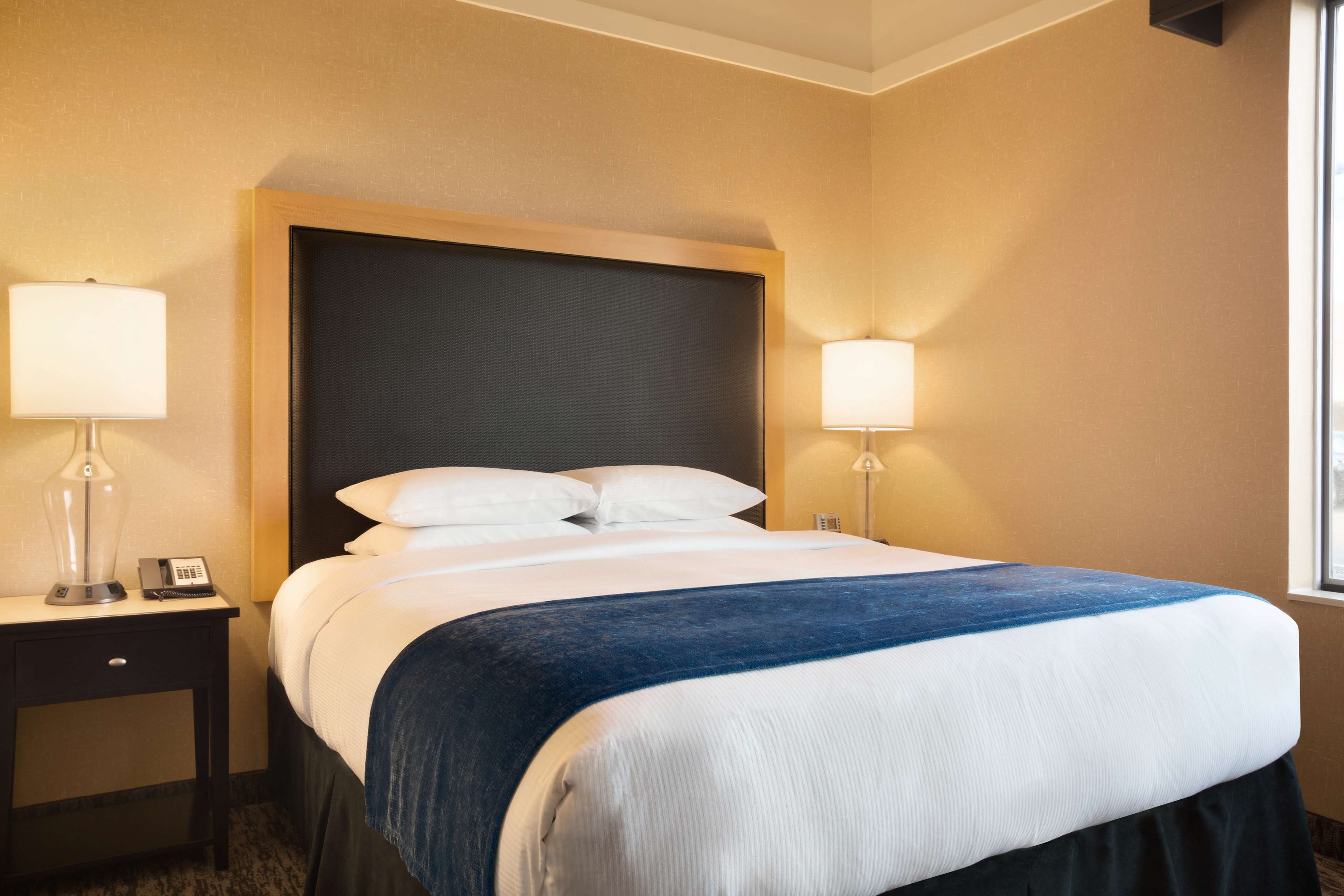 DoubleTree by Hilton Oklahoma City Airport Room Type - 1 KG BED JR STE W SOFA BED