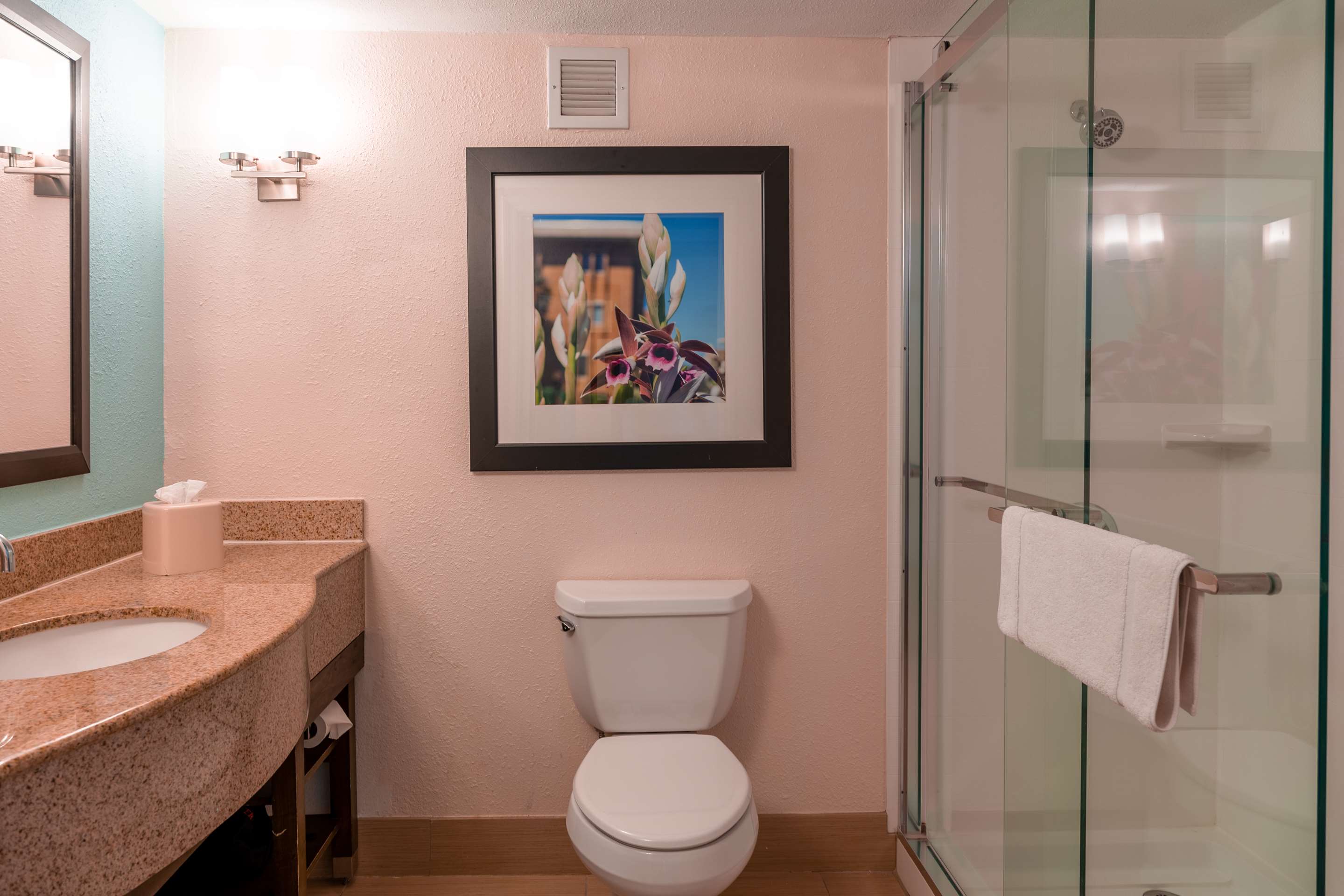 Guest room bath