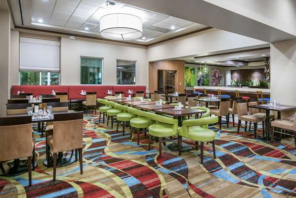 Restaurant - Hilton Garden Inn at The Rim San Antonio - I-10, Exit 555