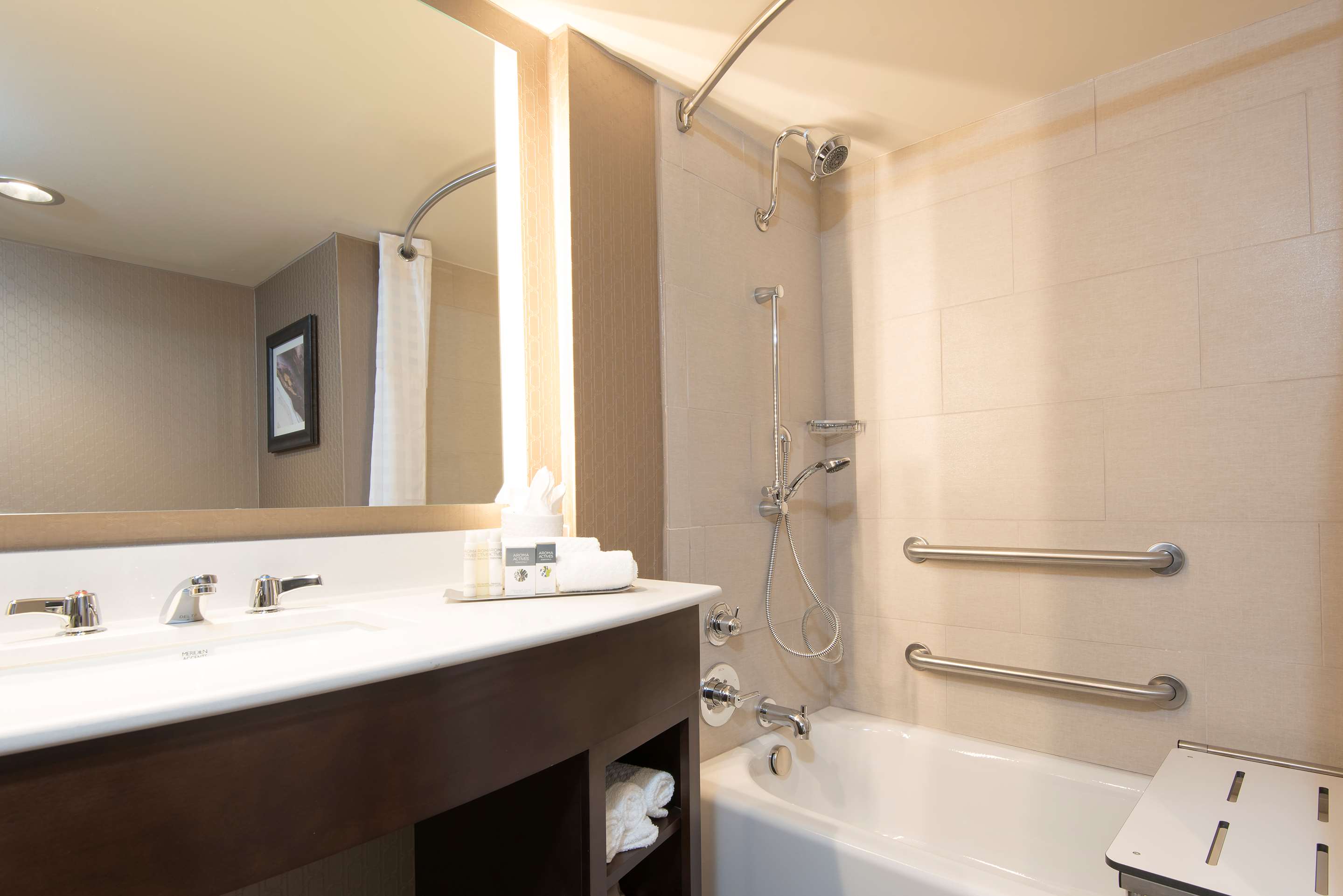 Guest room bath