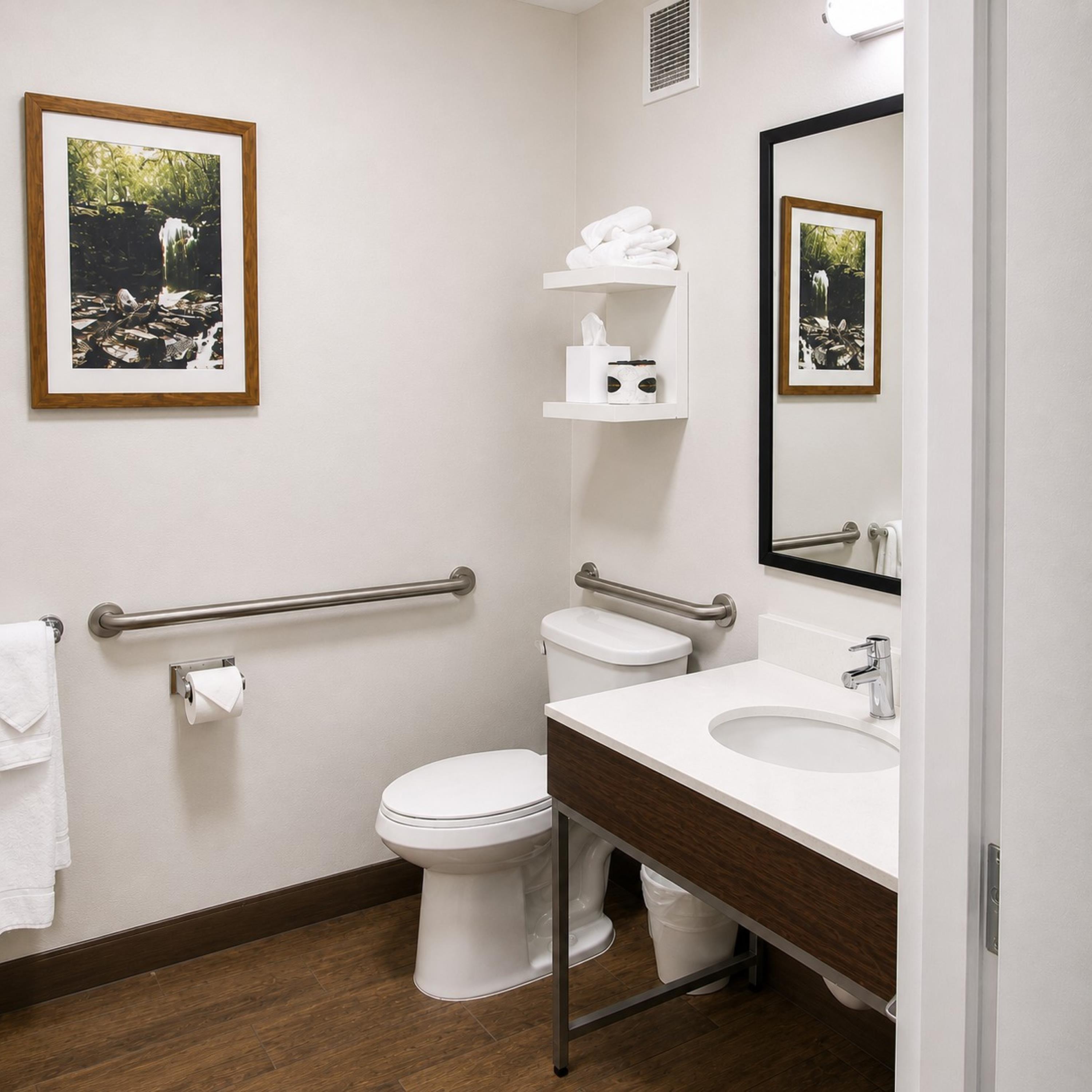 Hampton Inn by Hilton Summersville Room Type - 1 KNG ACC ROLLIN SHWR NS