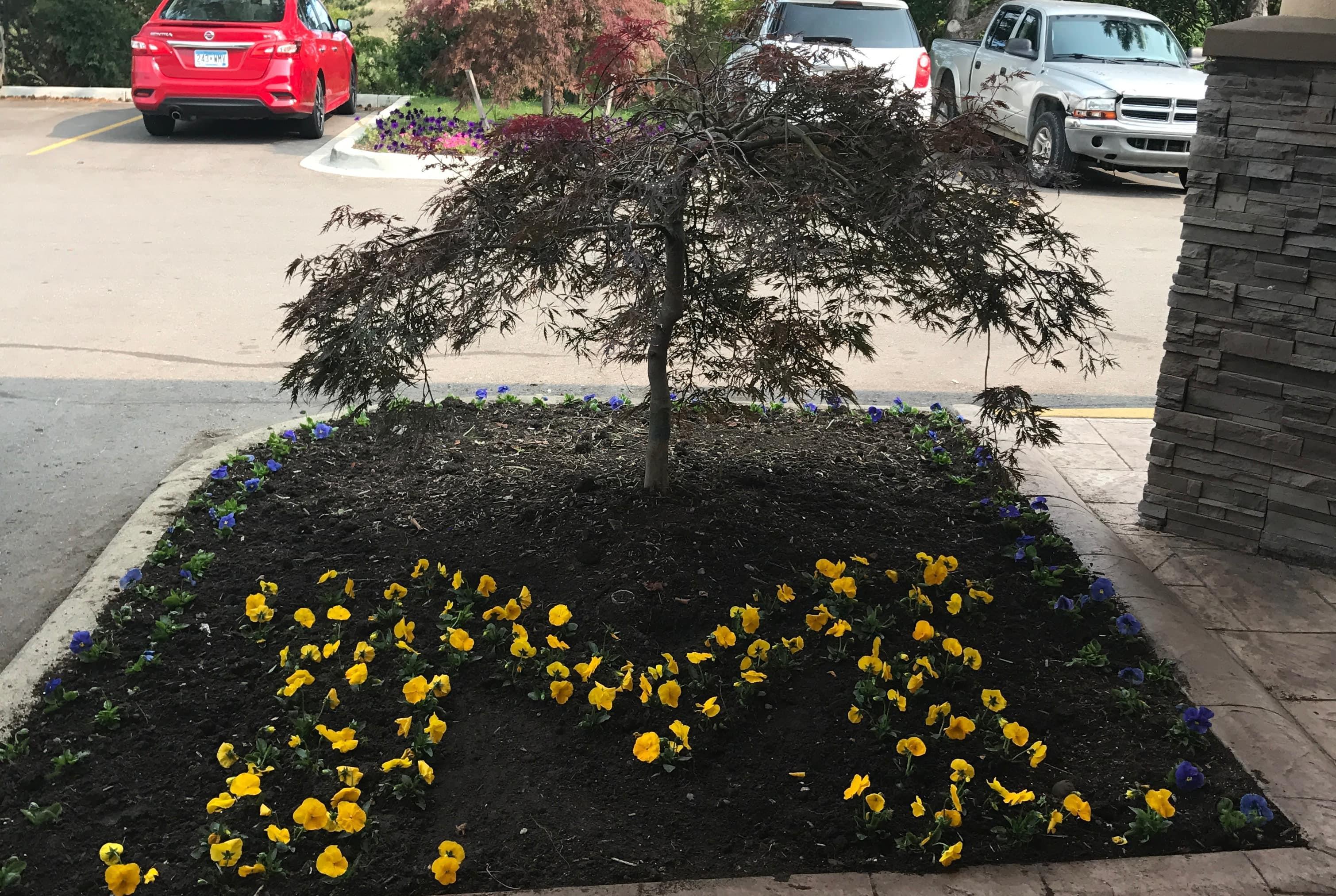 Exterior | Wyndham Garden Ann Arbor