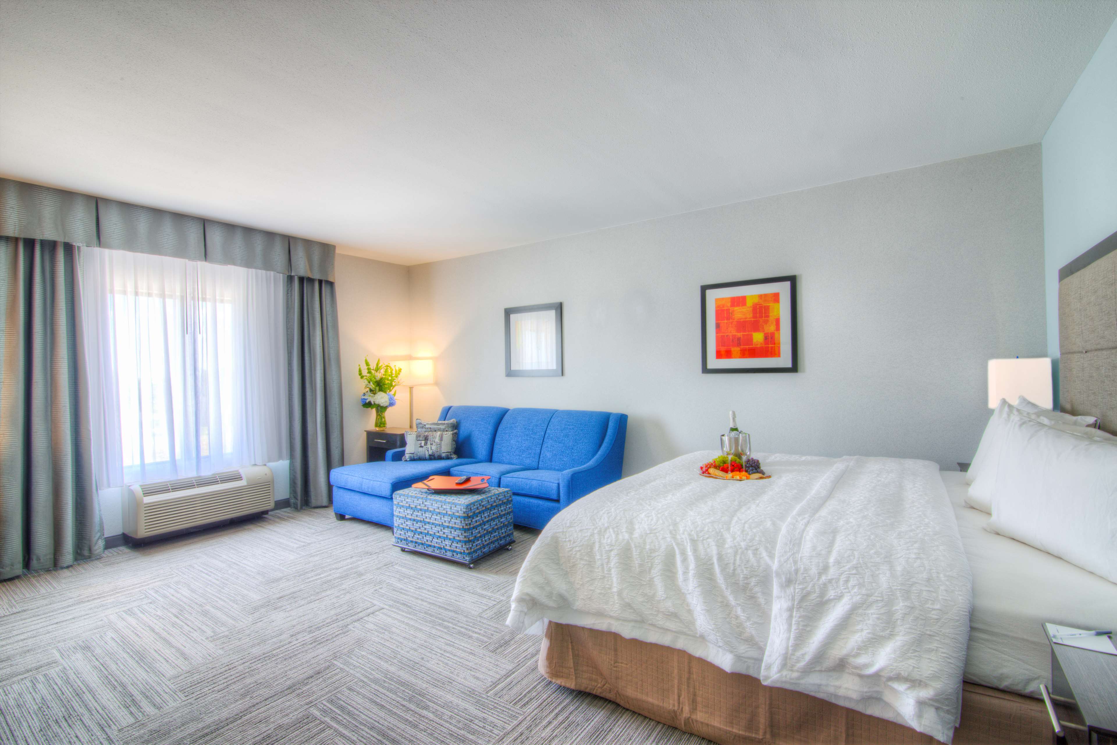 Hampton Inn by Hilton Houston I-10 East Room Type - 1 KING SFBD MIC FRG NS