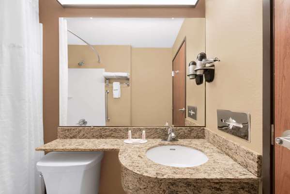  - Microtel Inn & Suites by Wyndham Midland - I-20, Exit 136