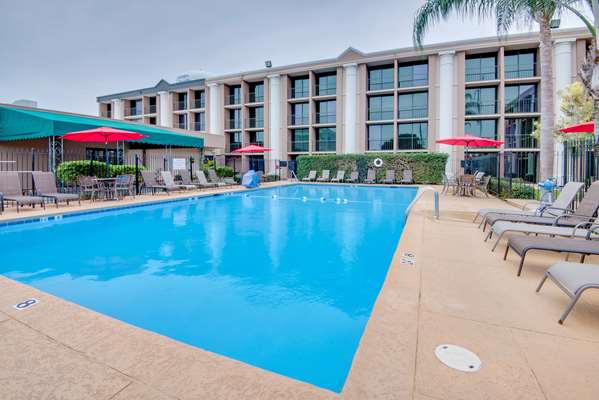Pool - Ramada Hotel Metairie - I-10, Exit 228