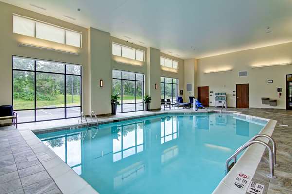 Pool - Homewood Suites by Hilton Clifton Park - I-87, Exit 9