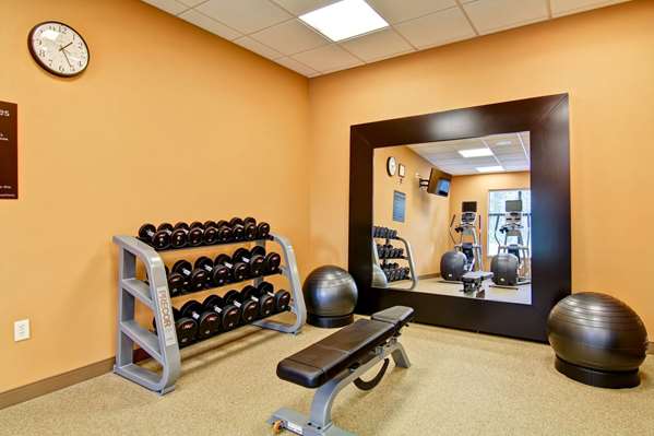 Fitness/ Exercise Room - Homewood Suites by Hilton Clifton Park - I-87, Exit 9