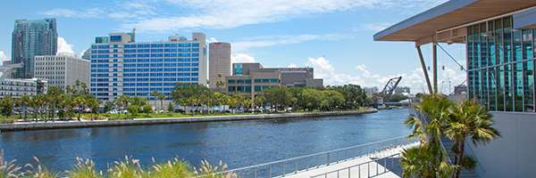 Bar - Barrymore Hotel Tampa