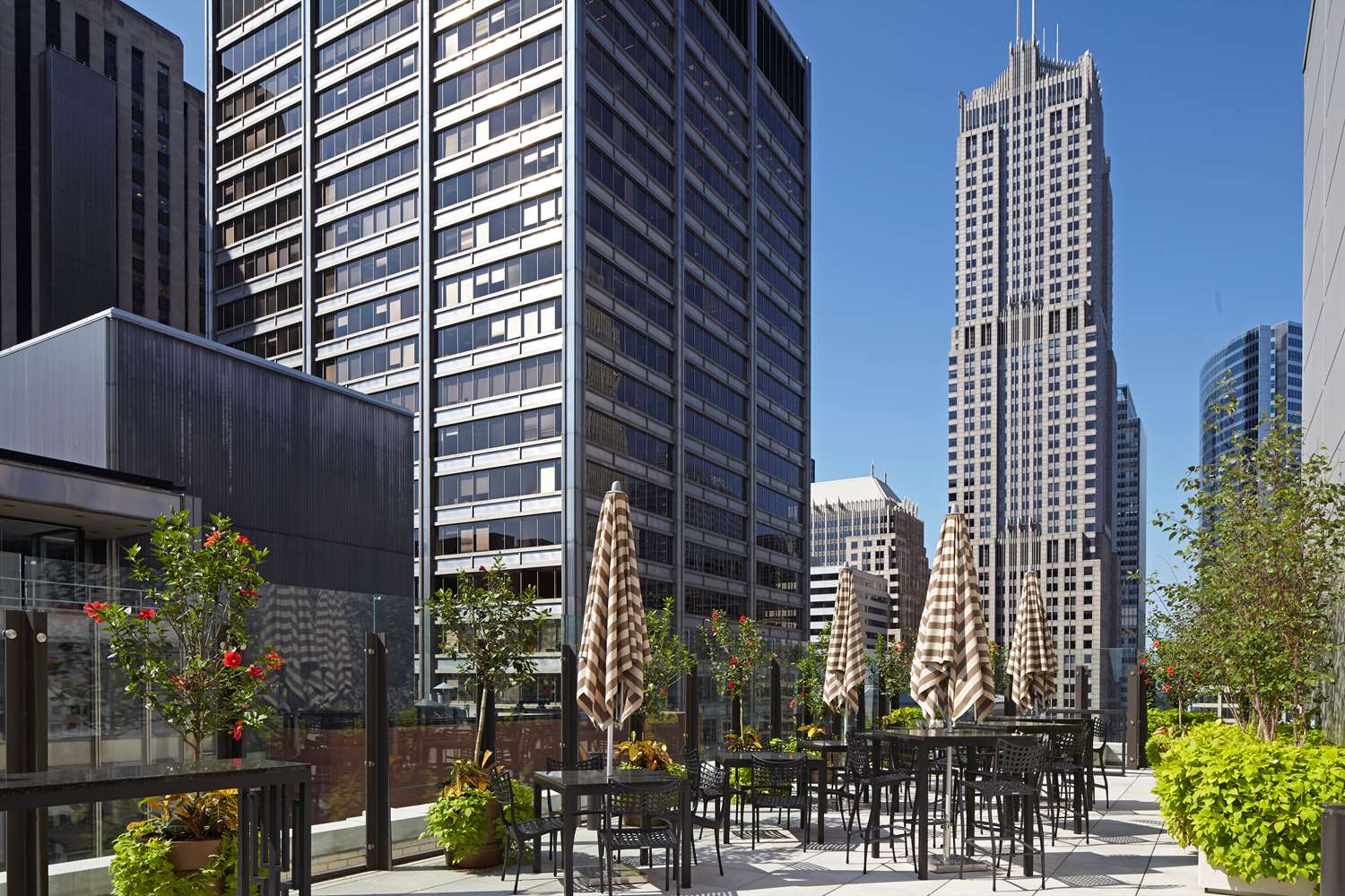 Hyatt Centric Hotel The Loop Chicago, IL See Discounts