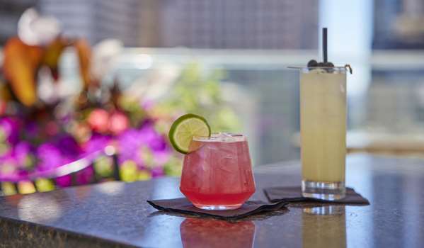 Pool - Hyatt Centric Hotel The Loop Chicago