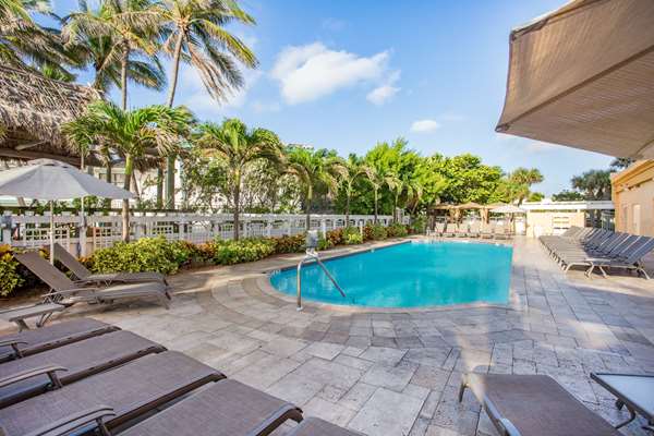 Pool - Wyndham Deerfield Beach Resort