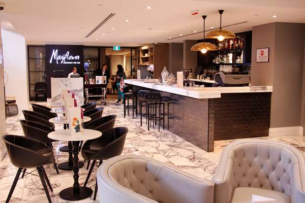 MAYFAIR HOTEL - Photo 28