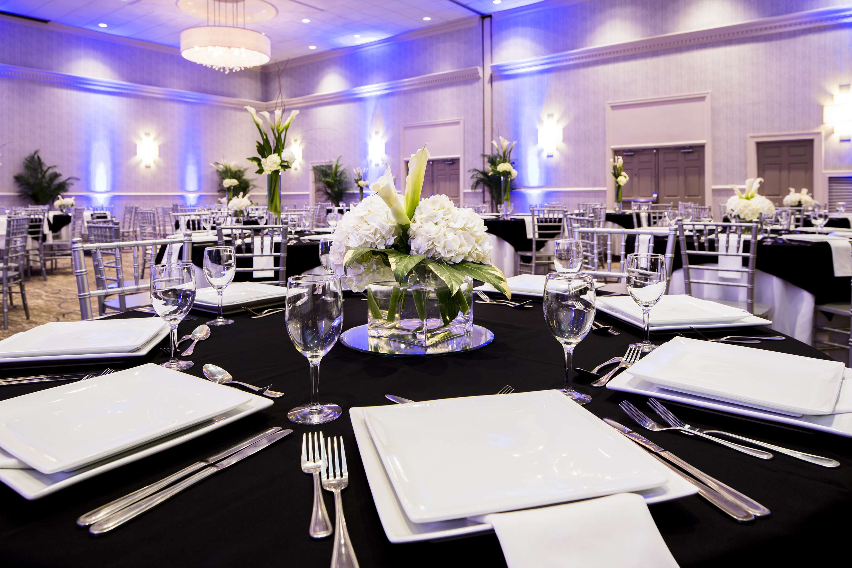 Meeting Room | DoubleTree by Hilton Hotel Jacksonville Riverfront