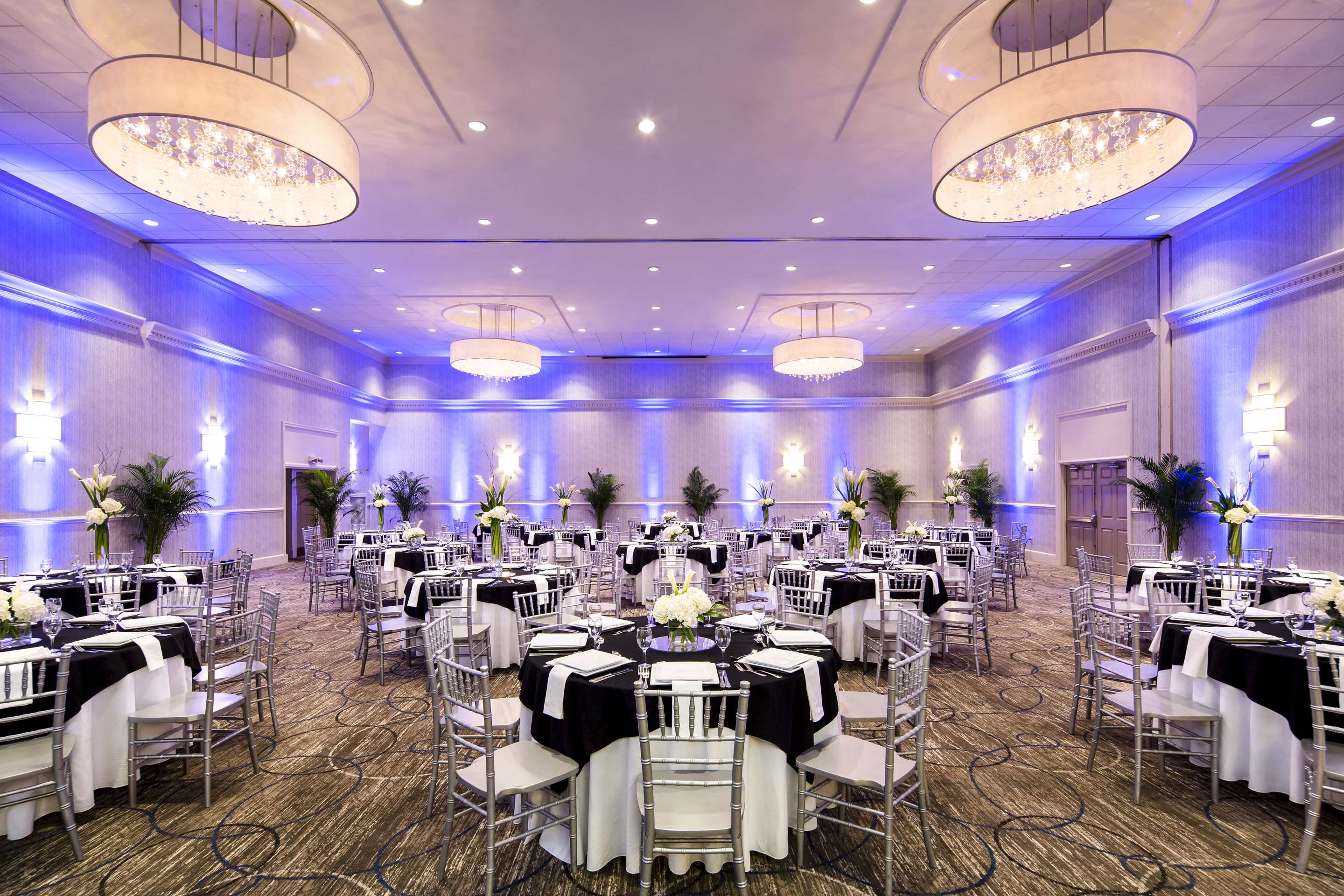 Meeting Room | DoubleTree by Hilton Hotel Jacksonville Riverfront