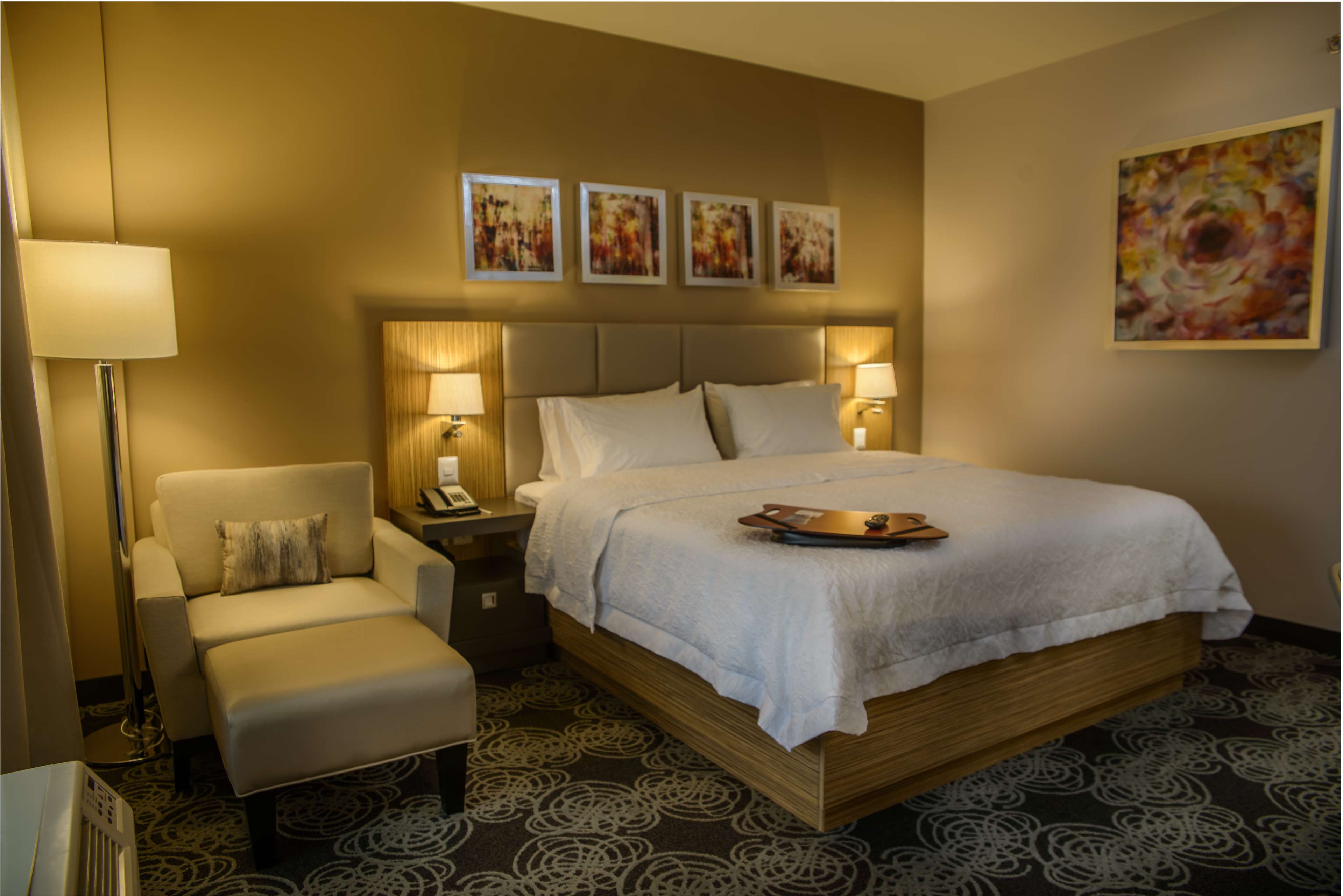 Hampton Inn by Hilton - Zacatecas, Mexico Room Type - 1 KING W FRIDGE NONSMOKING
