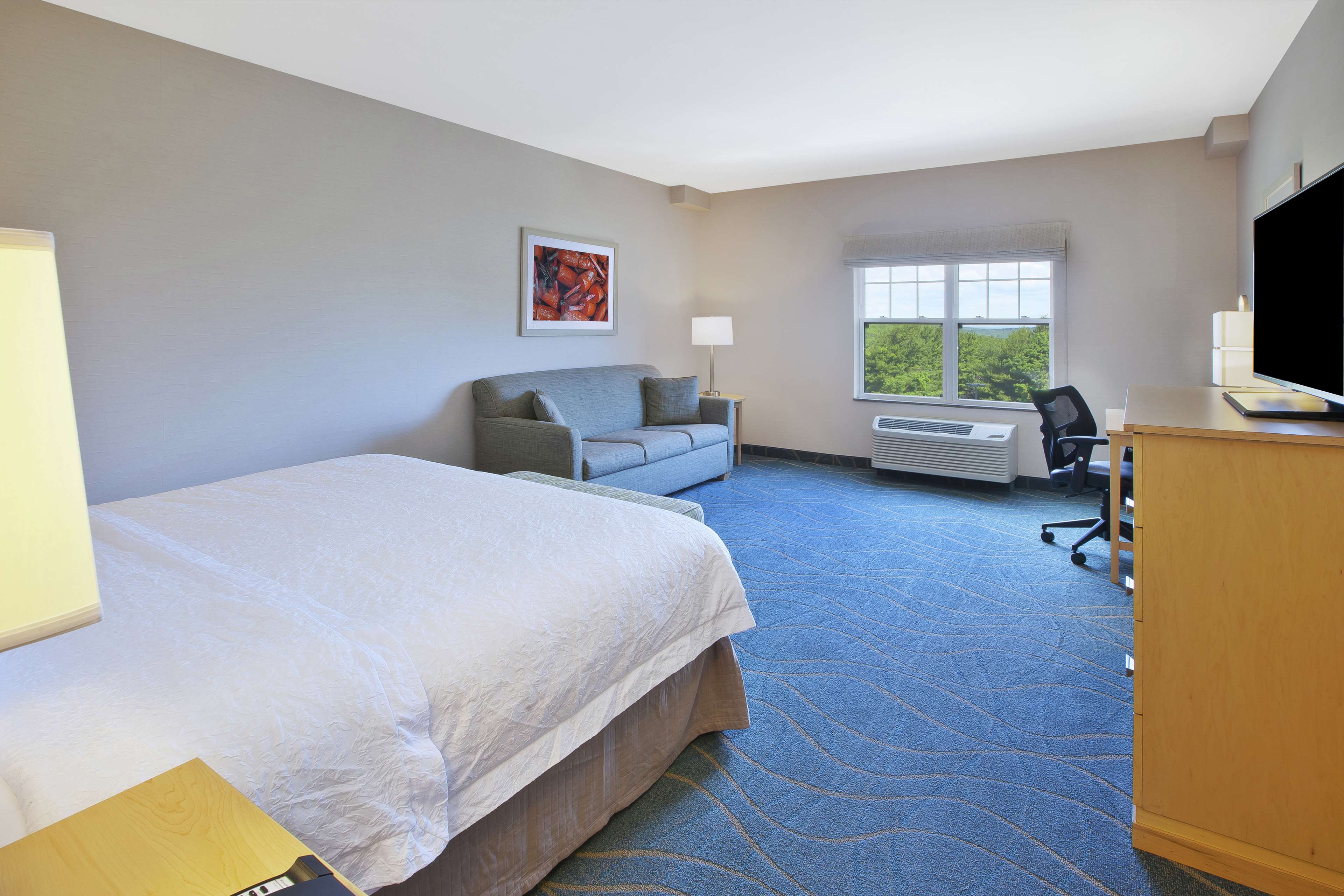 Hampton by Hilton Bar Harbor Room Type - 1 KING SFBD FRIDGE NS