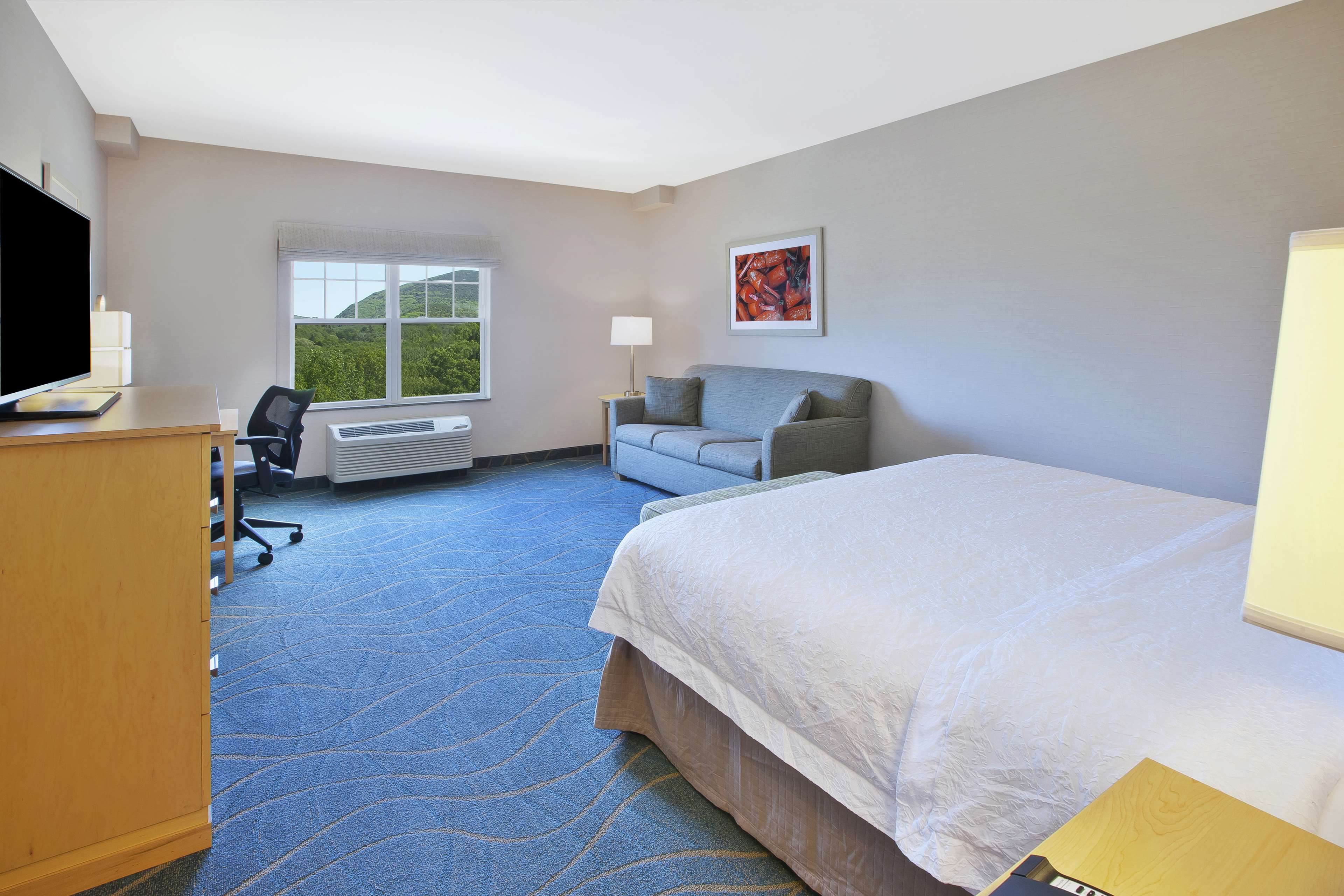 Hampton by Hilton Bar Harbor Room Type - KING SOFA MOUNTAIN VIEW