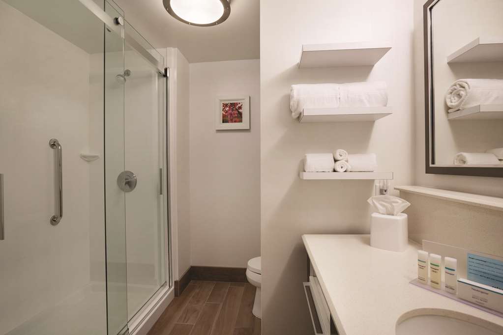 Hampton Inn Brigham City, UT-guestroom-Guest Room,Bathroom,On-Site.jpg