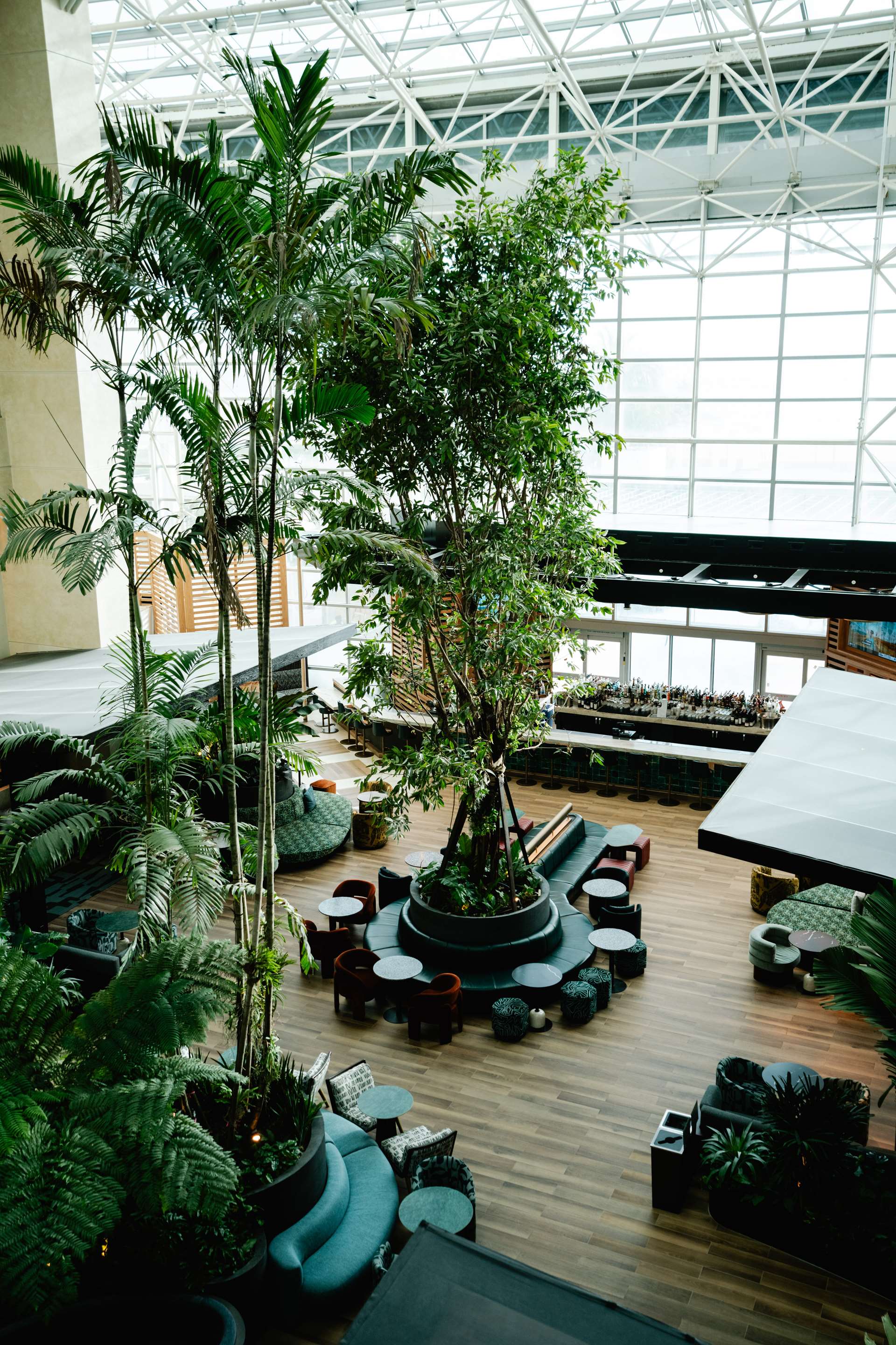 BarLounge | Diplomat Beach Resort Hollywood, Curio Collection by Hilton