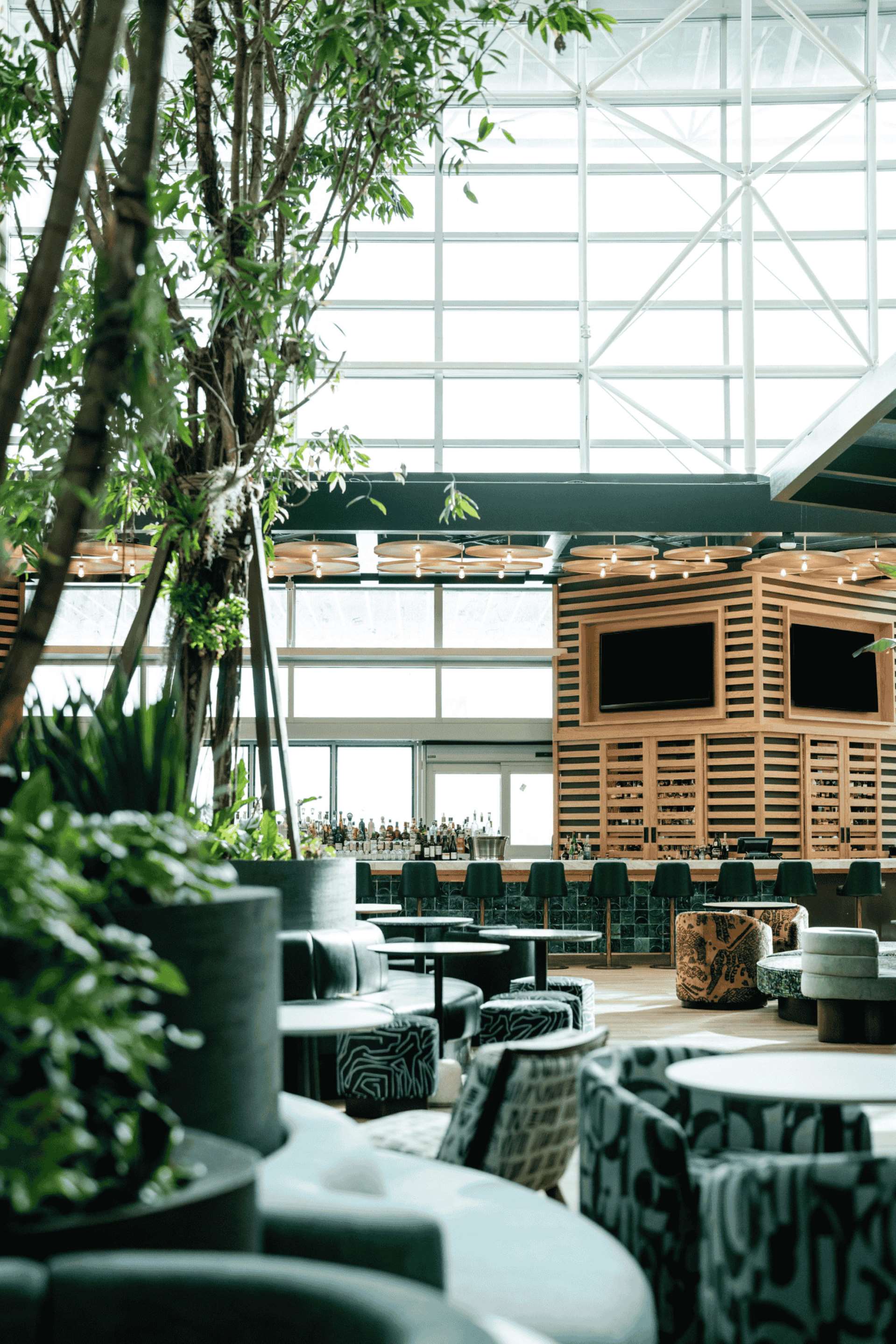 BarLounge | Diplomat Beach Resort Hollywood, Curio Collection by Hilton