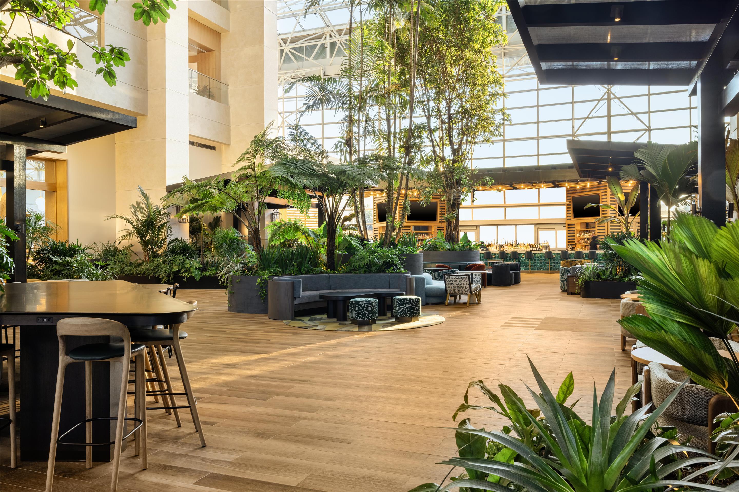 BarLounge | Diplomat Beach Resort Hollywood, Curio Collection by Hilton