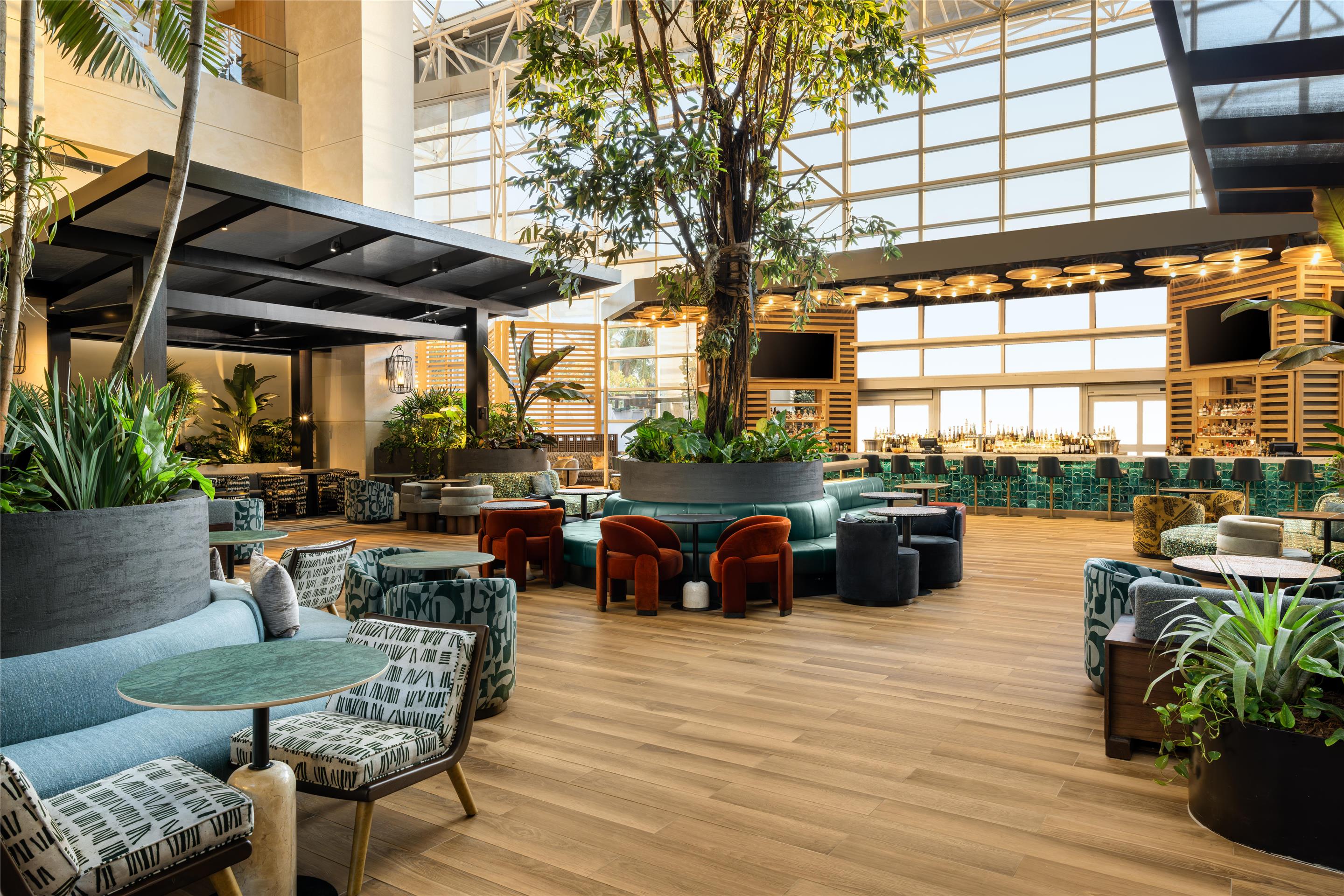 BarLounge | Diplomat Beach Resort Hollywood, Curio Collection by Hilton