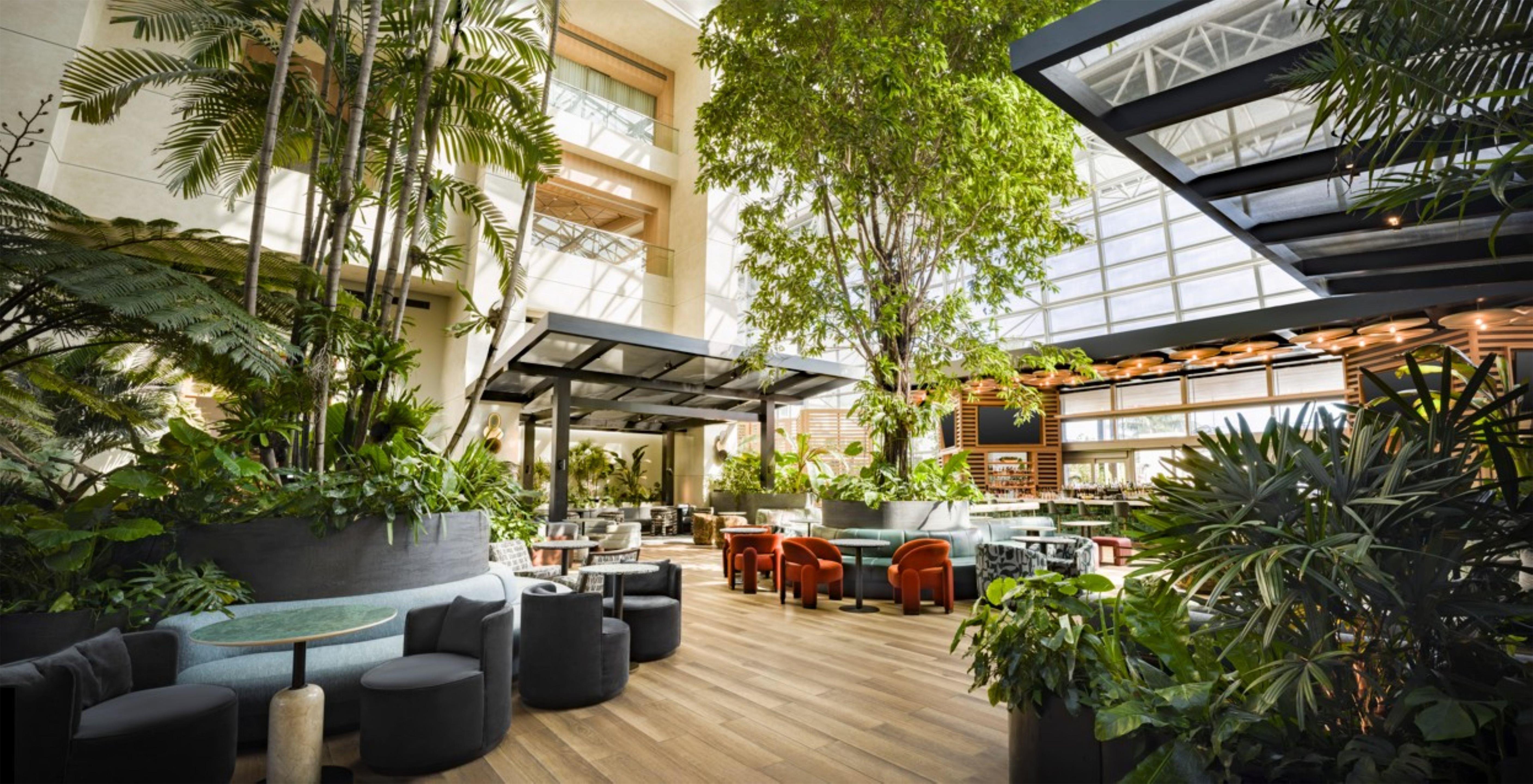 Restaurant | Diplomat Beach Resort Hollywood, Curio Collection by Hilton