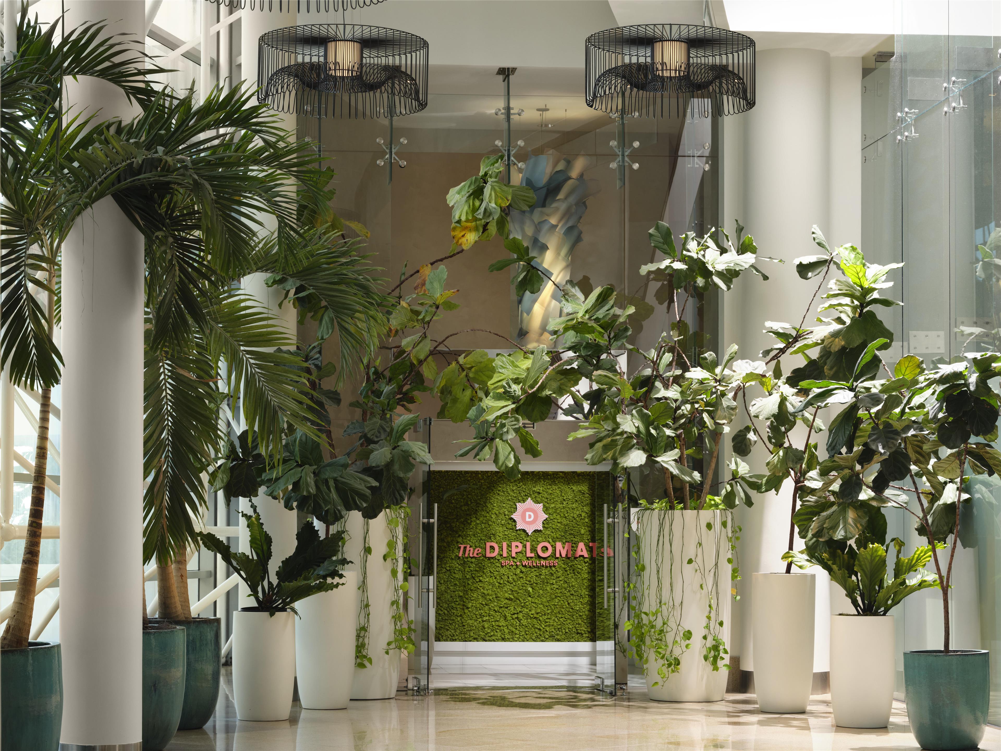 Spa | Diplomat Beach Resort Hollywood, Curio Collection by Hilton