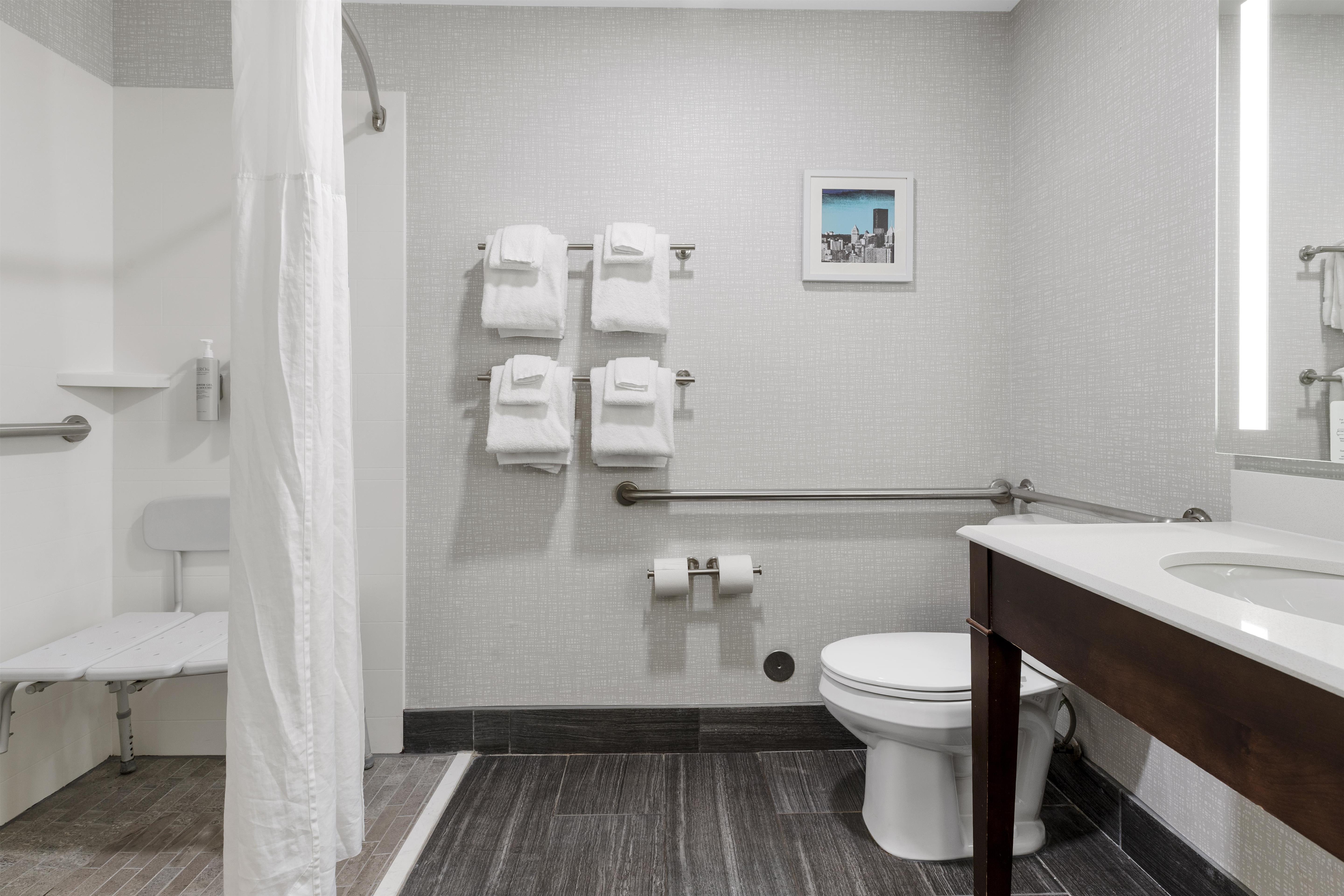 Hampton Inn Salem Room Type - 1 KNG ACC ROLLIN SHWR NS