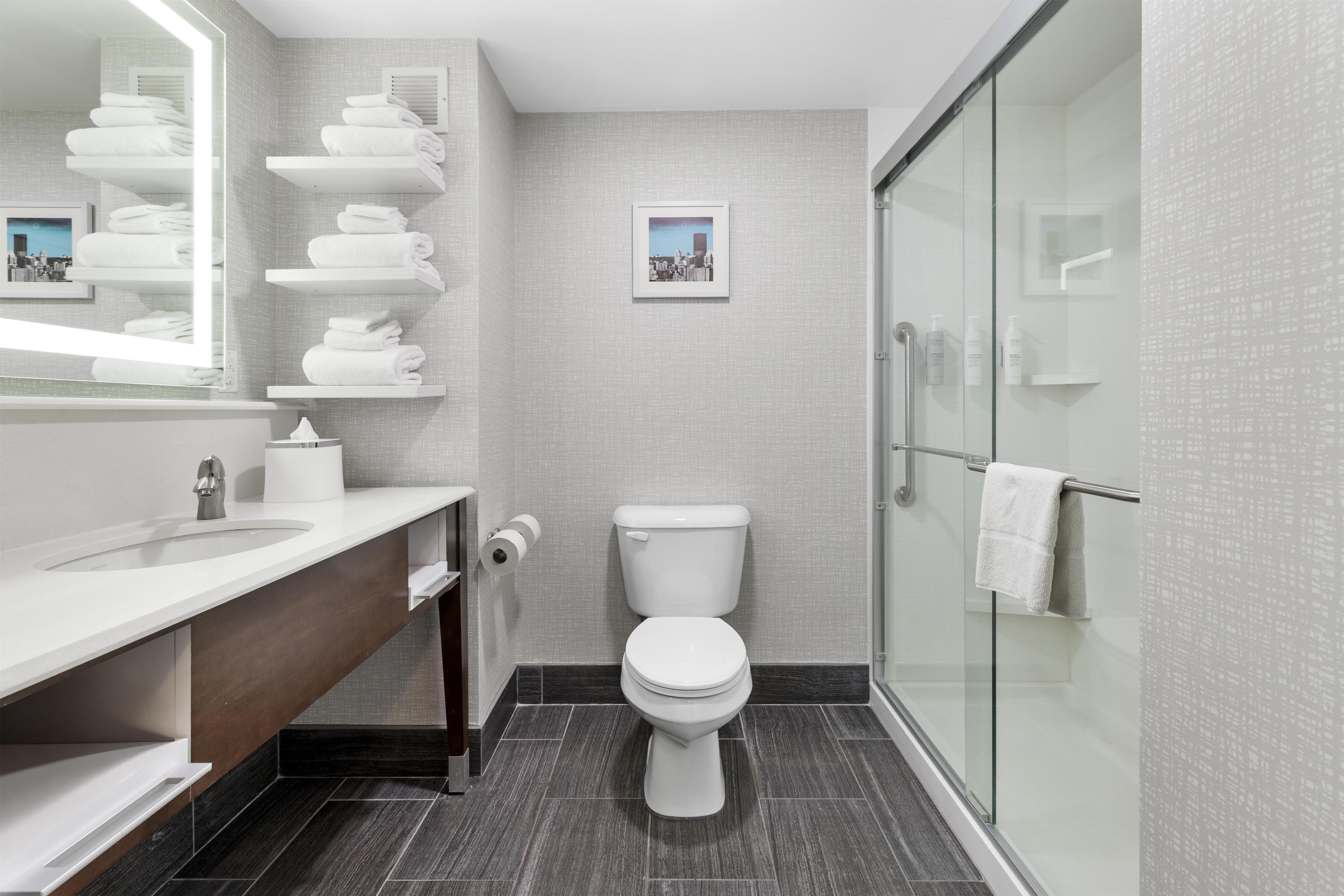 Hampton Inn Salem Room Type - 1 KNG HEARING ACC NOSMOK