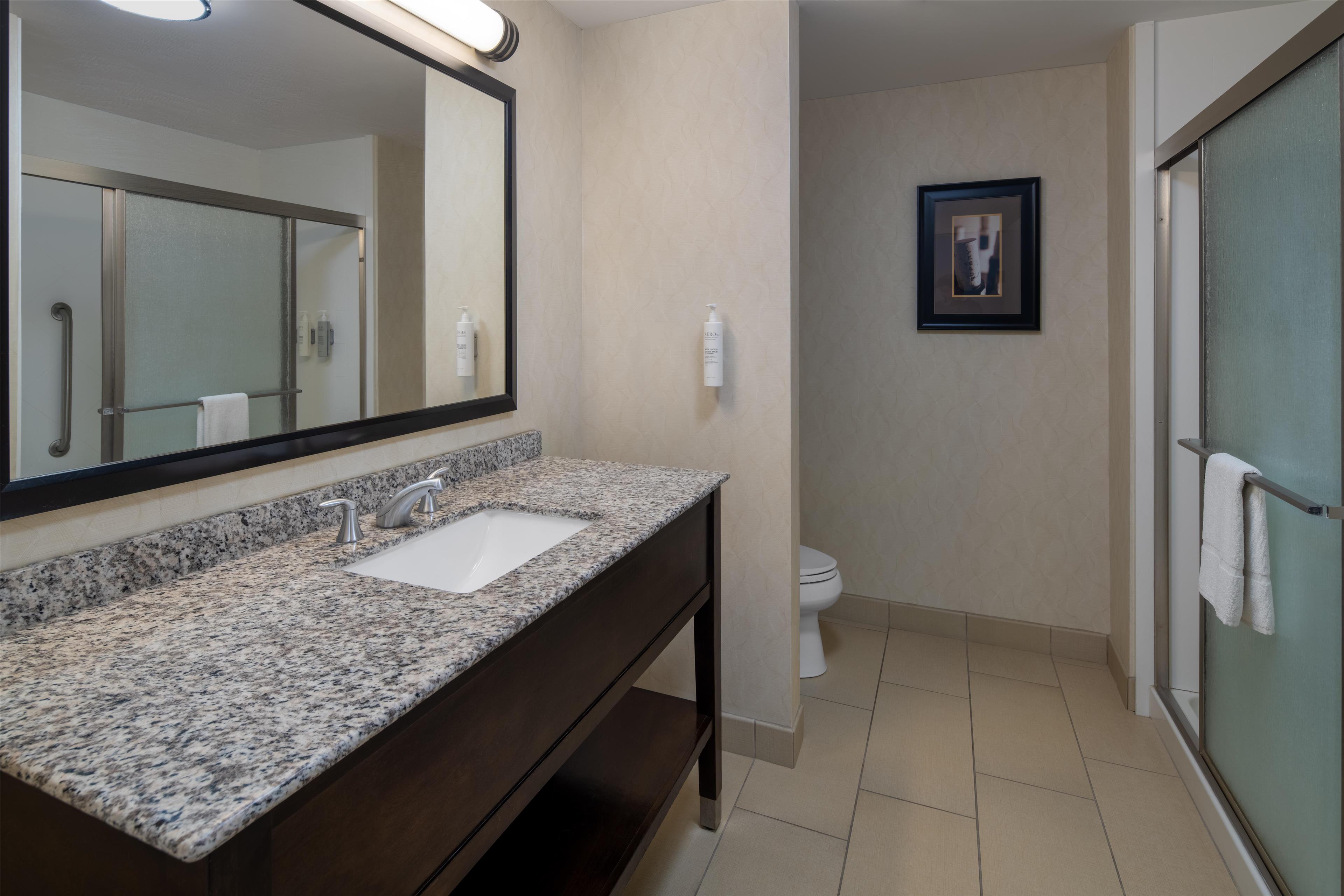 Hampton Inn by Hilton Seneca Falls Room Type - 1 KNG HEARING ACC NOSMOK