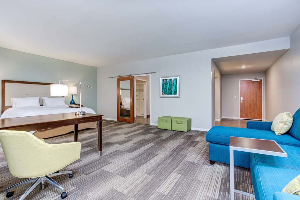Hampton Inn & Suites by Hilton Macon I-475 Room Type - 1 KN ACC RI SHWR STUDIO NS