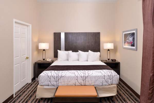Suite - Best Western Boerne Inn & Suites - I-10, Exit 539