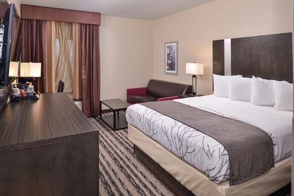Suite - Best Western Boerne Inn & Suites - I-10, Exit 539