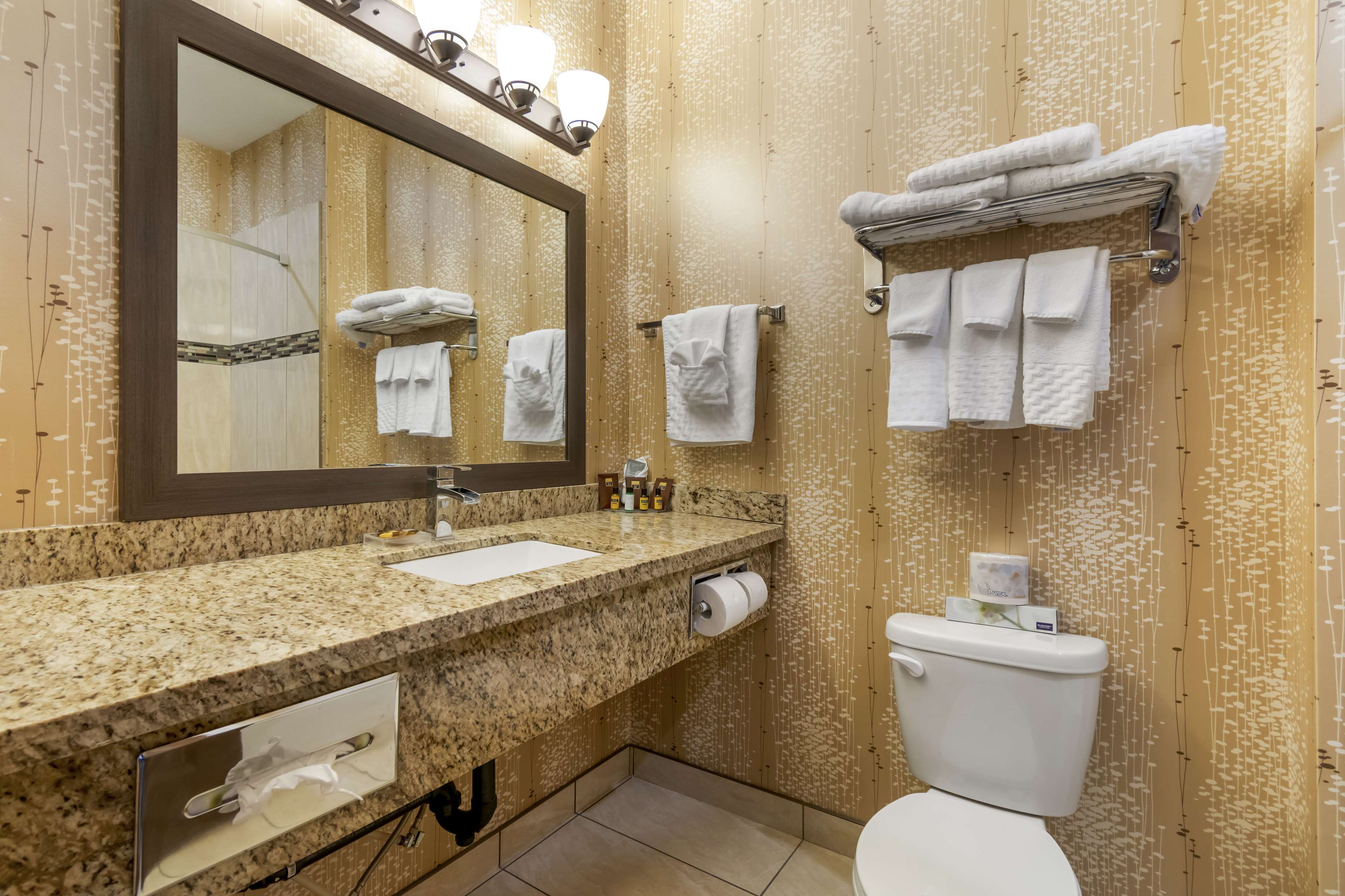 Best Western Plus Moosomin Hotel Room Type - 1 King Bed, Non-Smoking, Microwave And Refrigerator, Wi-Fi, Full Breakfast
