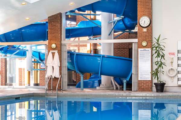 Pool - Hilton Hotel Mississauga