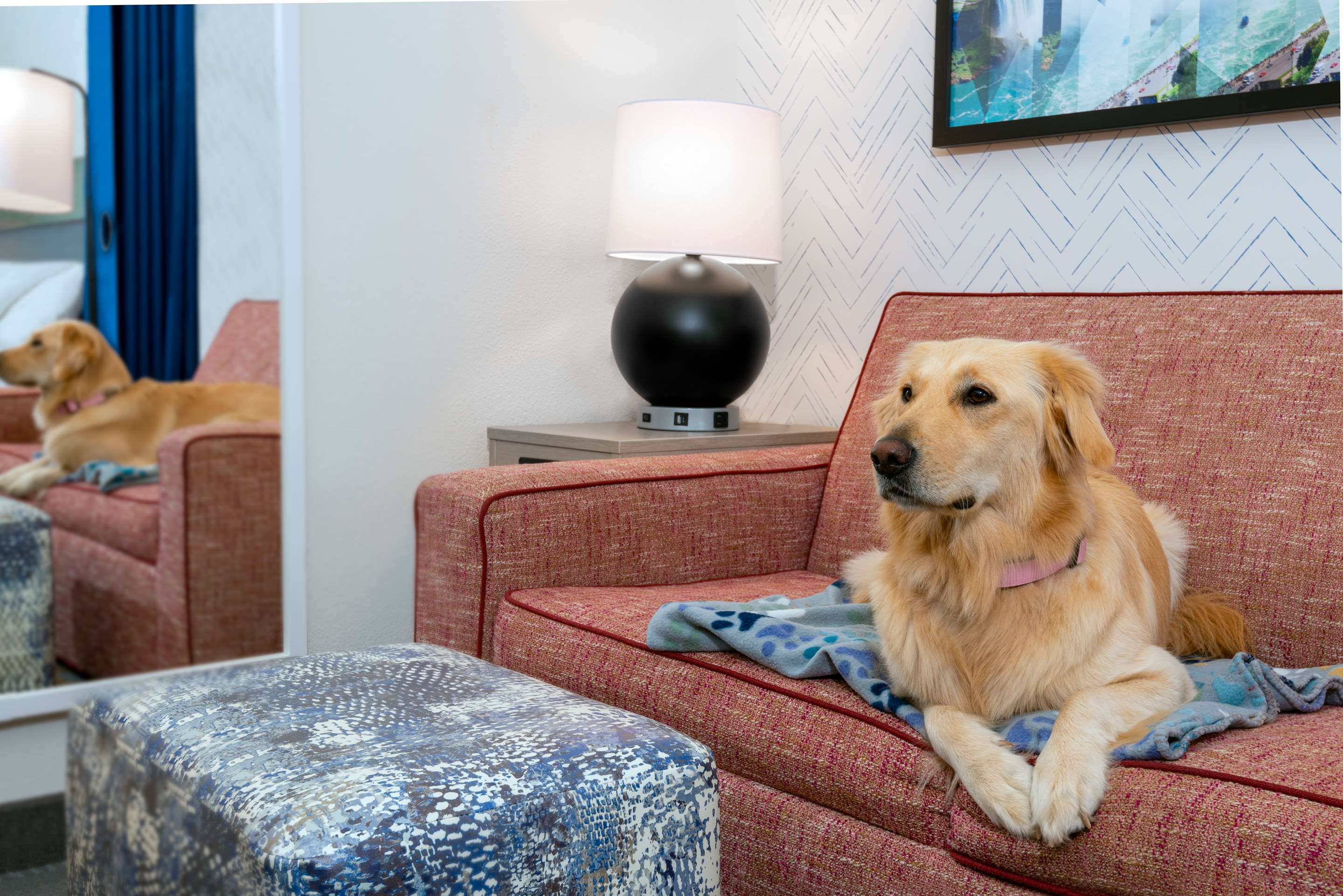 Miscellaneous | Home2 Suites by Hilton Buffalo Airport / Galleria Mall